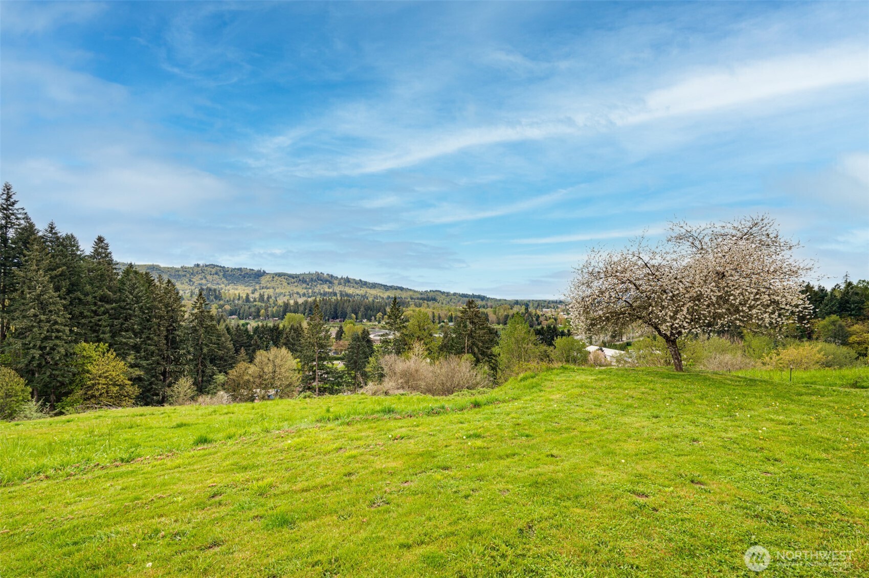 351 Butte Hill Road Woodland, WA 98674 - Photo 27 of 40