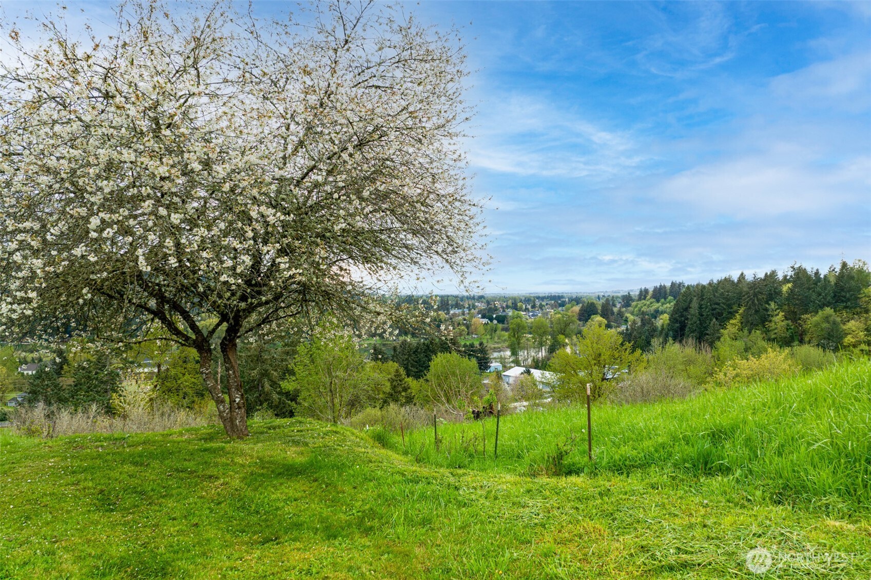 351 Butte Hill Road Woodland, WA 98674 - Photo 35 of 40