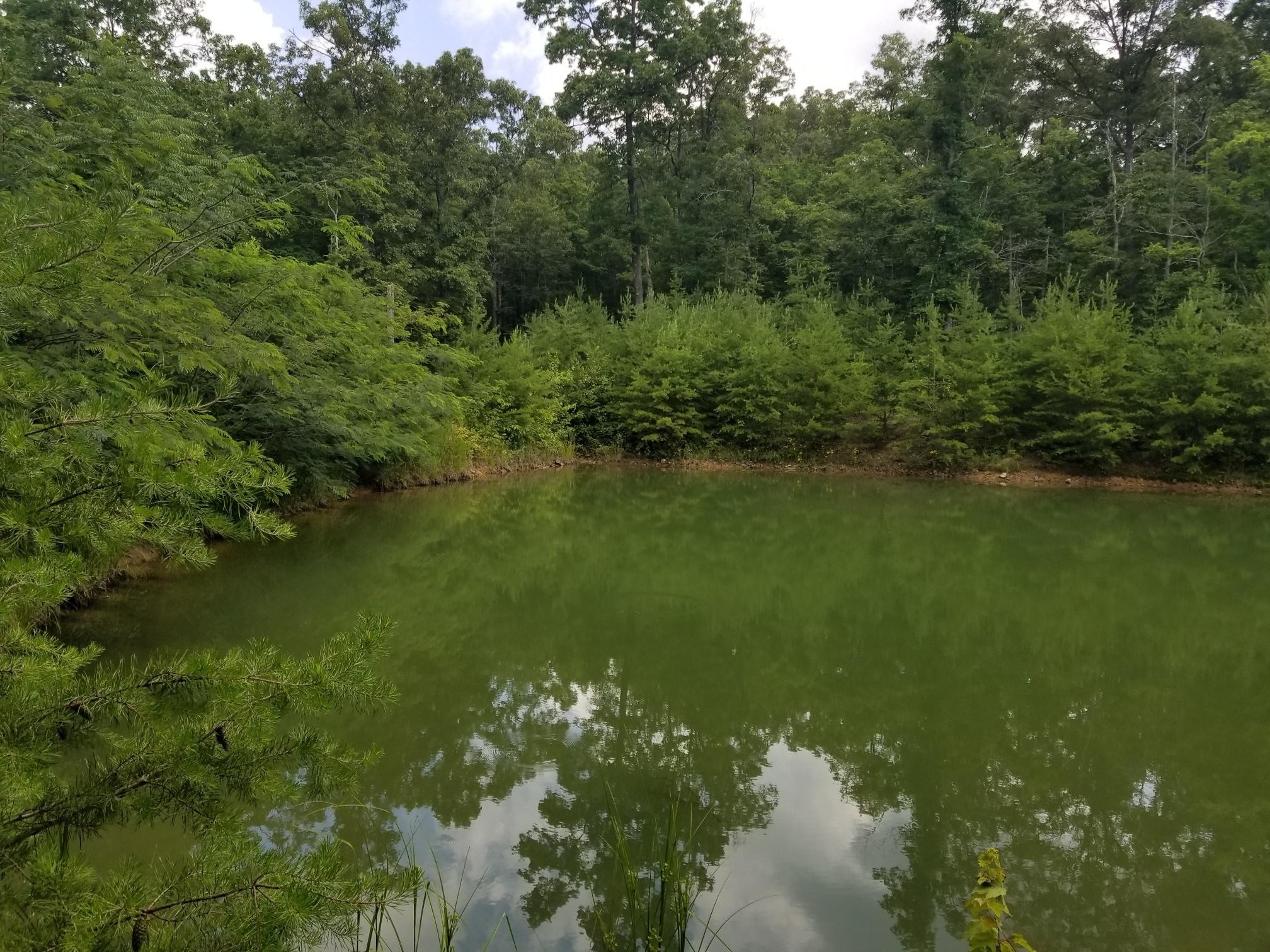 1198 Woods Road Dunlap, TN 37327 - Photo 15 of 26 Gallery Image 15