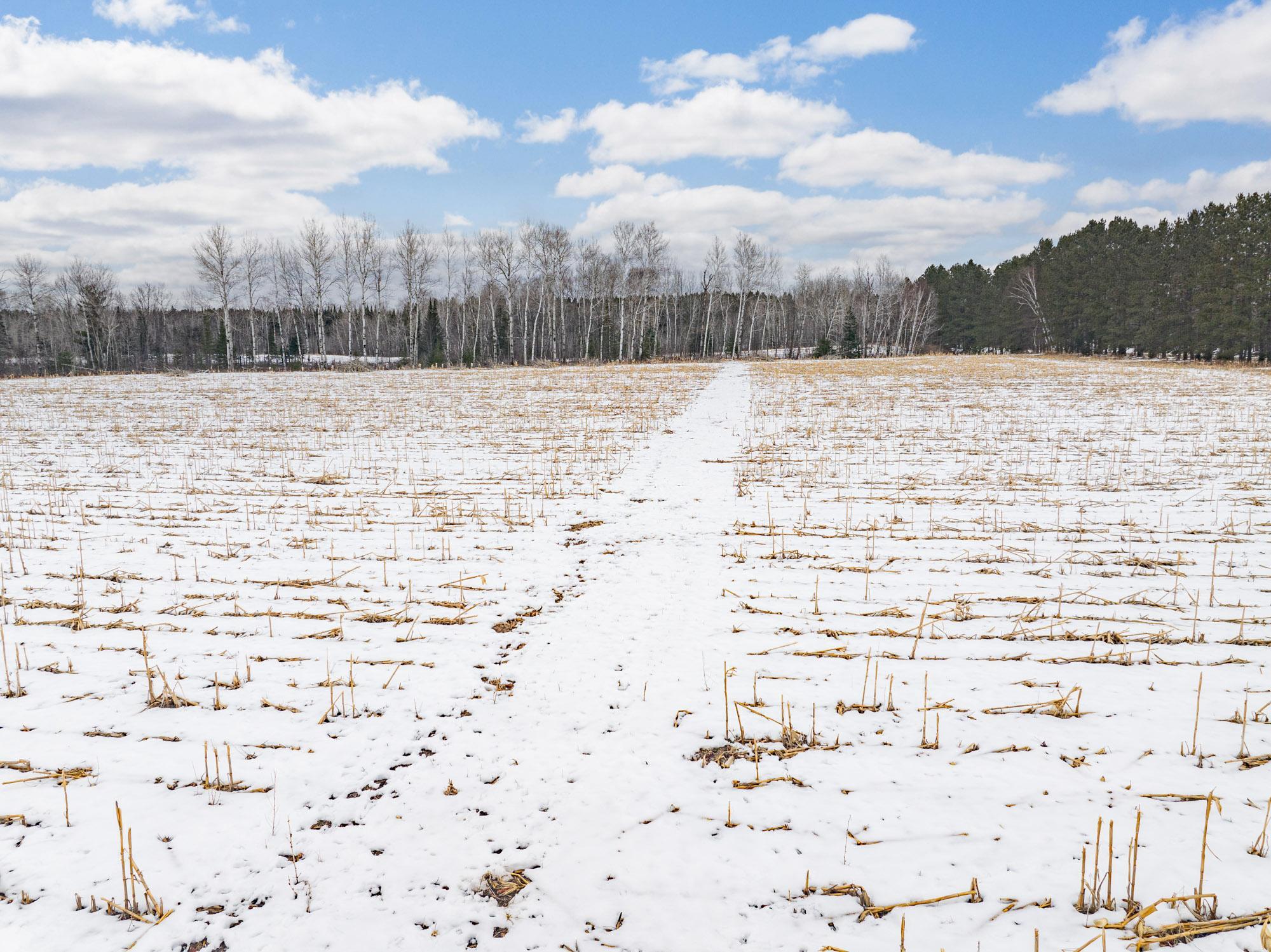 72 County Road 72 Warba, MN 55793 - Photo 25 of 29