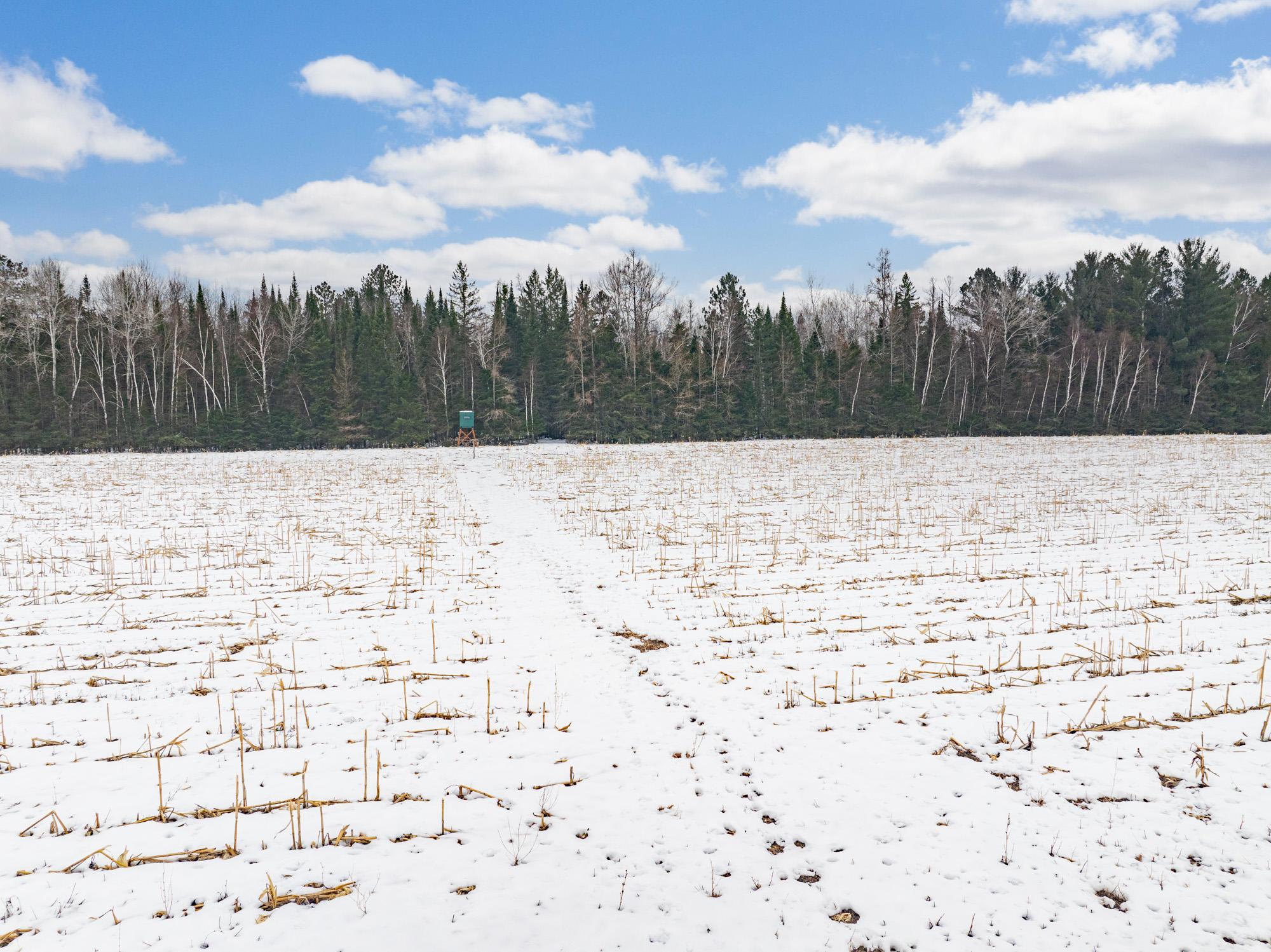 72 County Road 72 Warba, MN 55793 - Photo 26 of 29