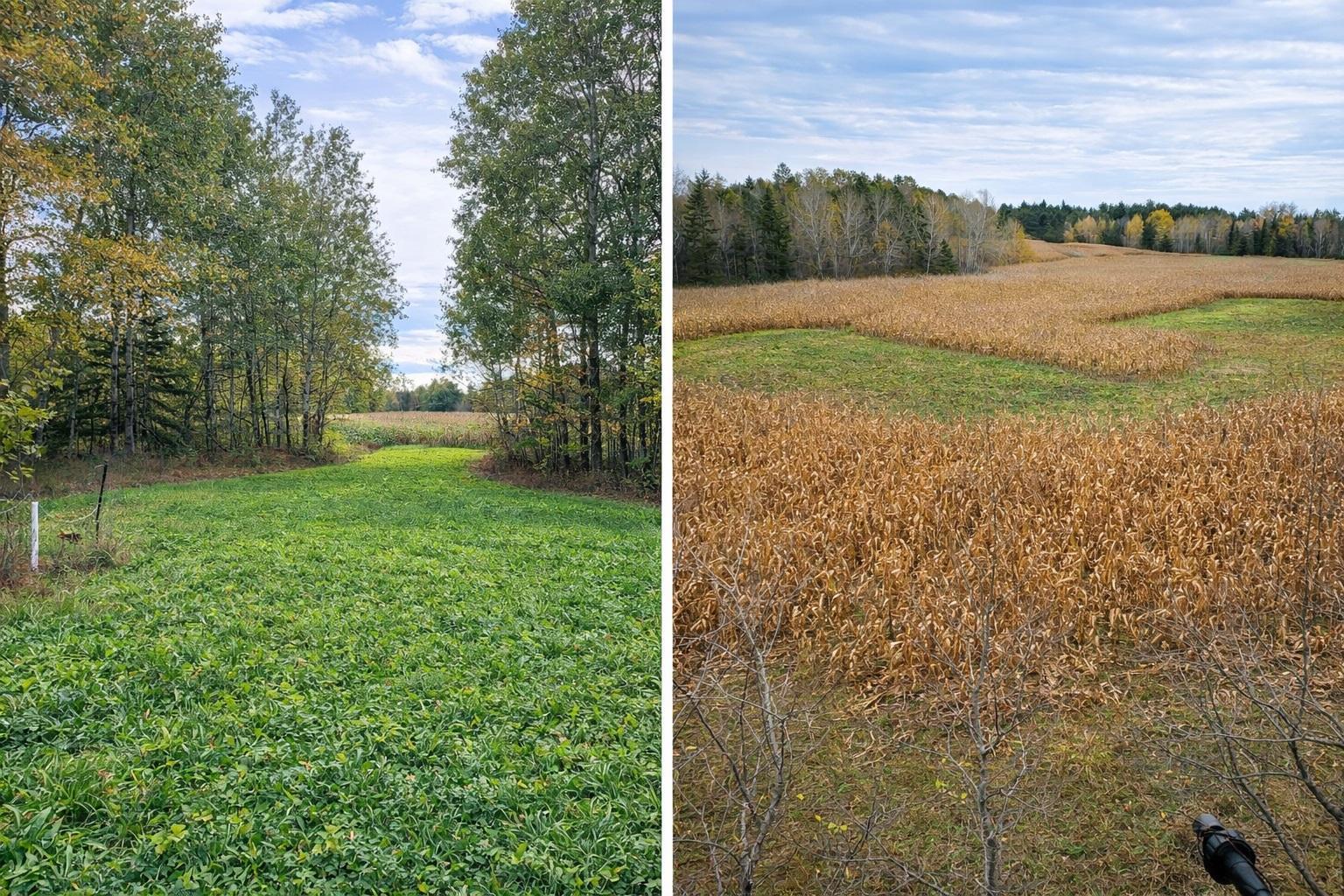 72 County Road 72 Warba, MN 55793 - Photo 29 of 29