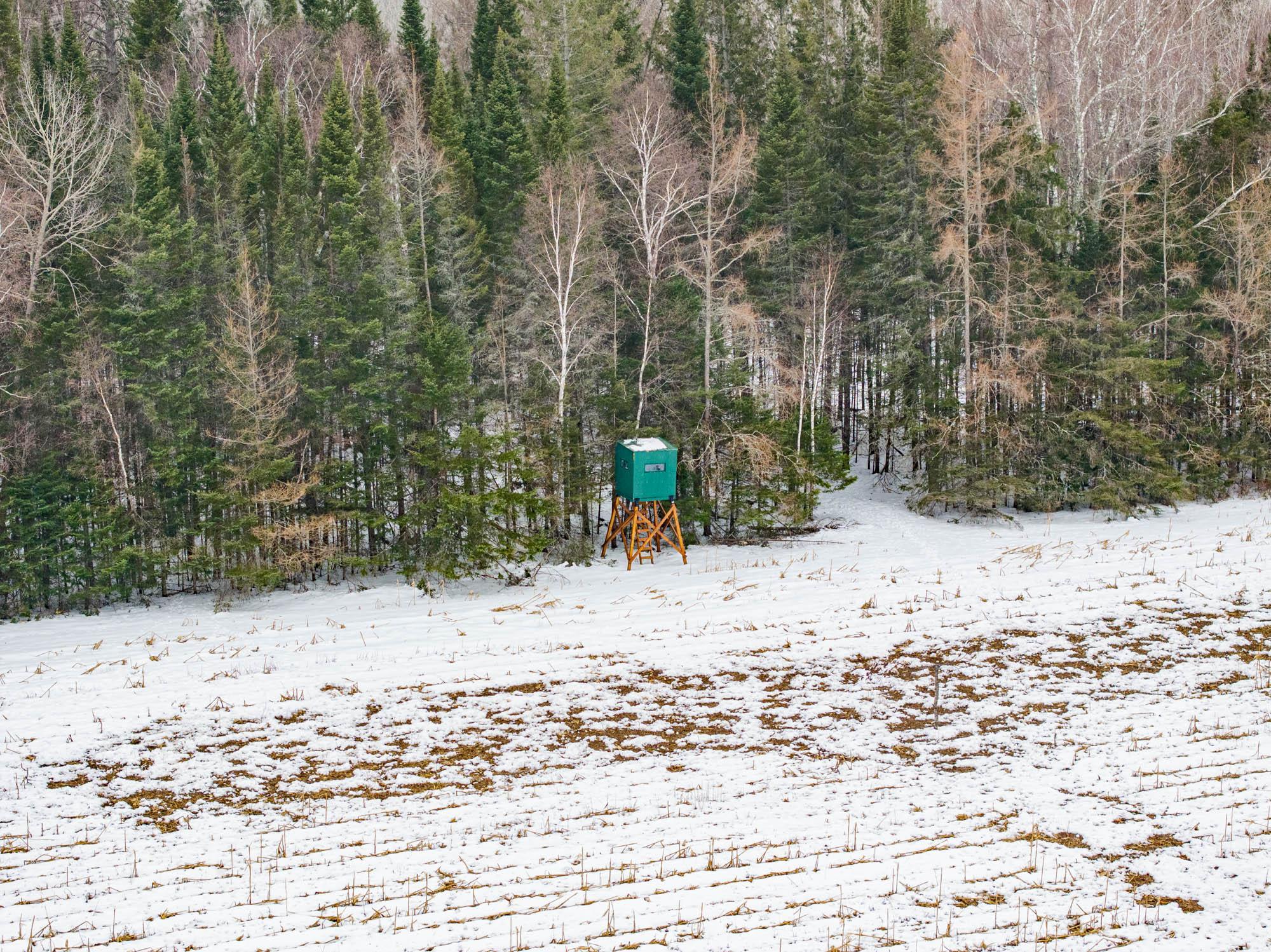 72 County Road 72 Warba, MN 55793 - Photo 7 of 29