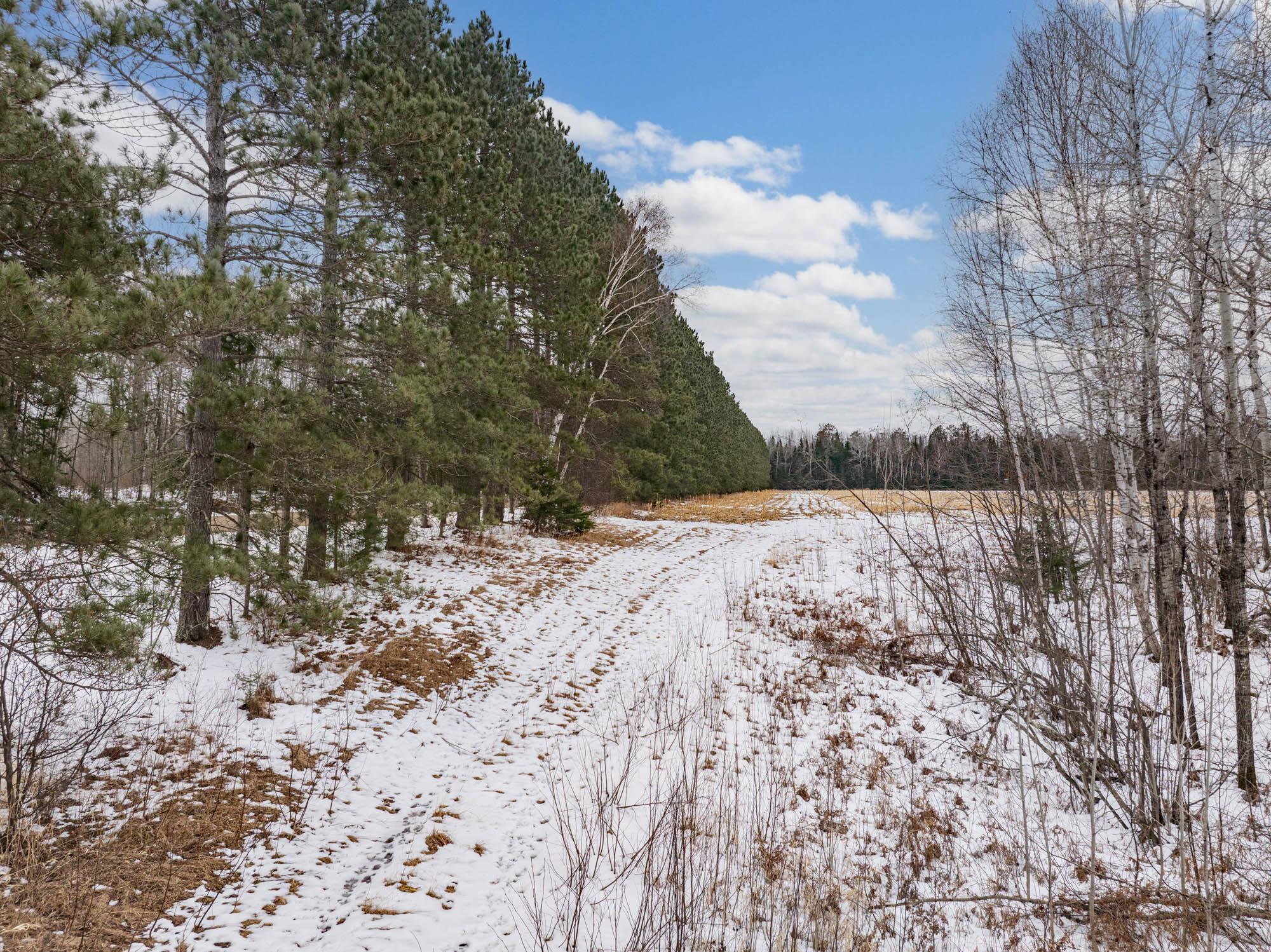 72 County Road 72 Warba, MN 55793 - Photo 8 of 29