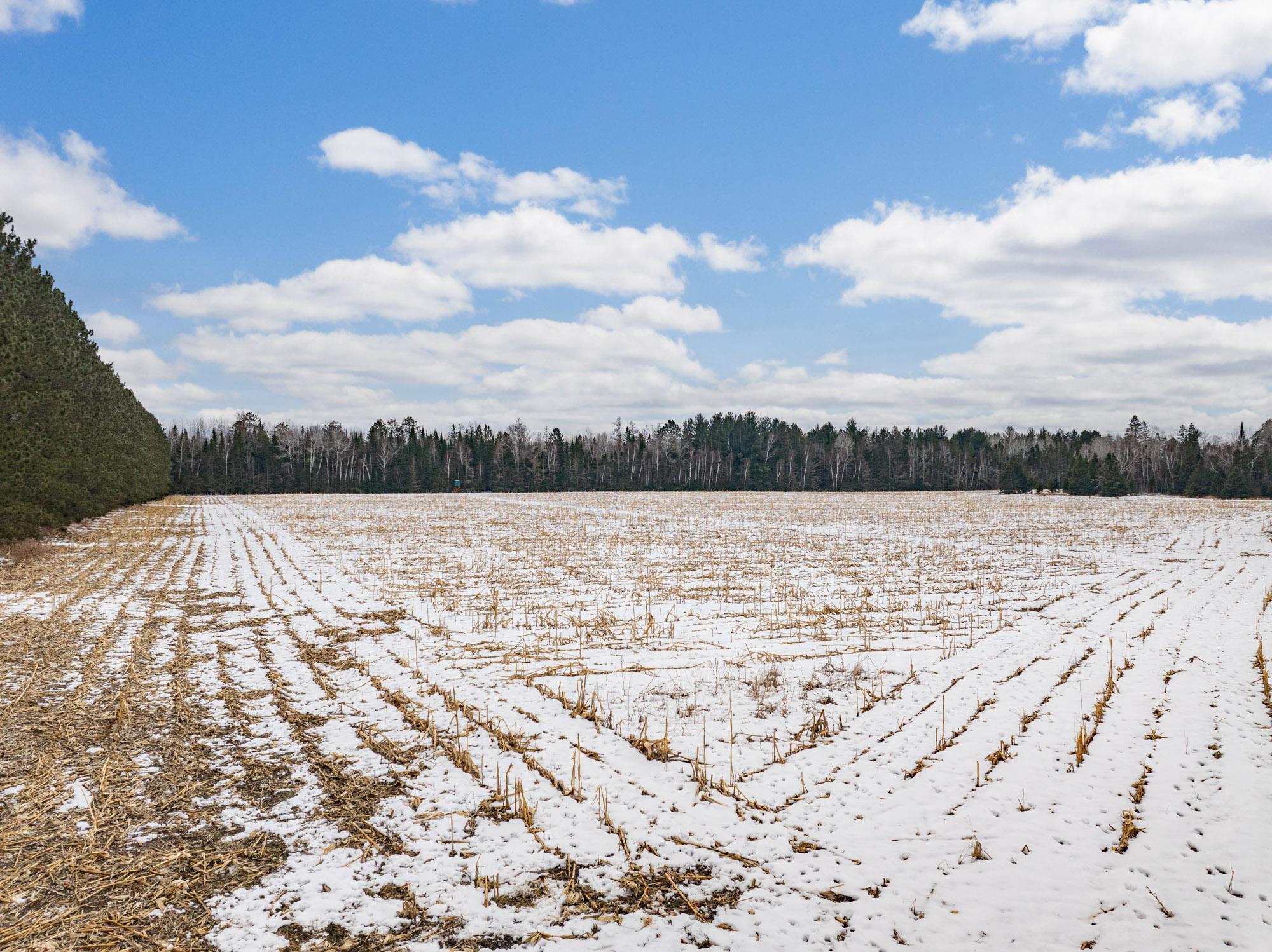 72 County Road 72 Warba, MN 55793 - Photo 9 of 29