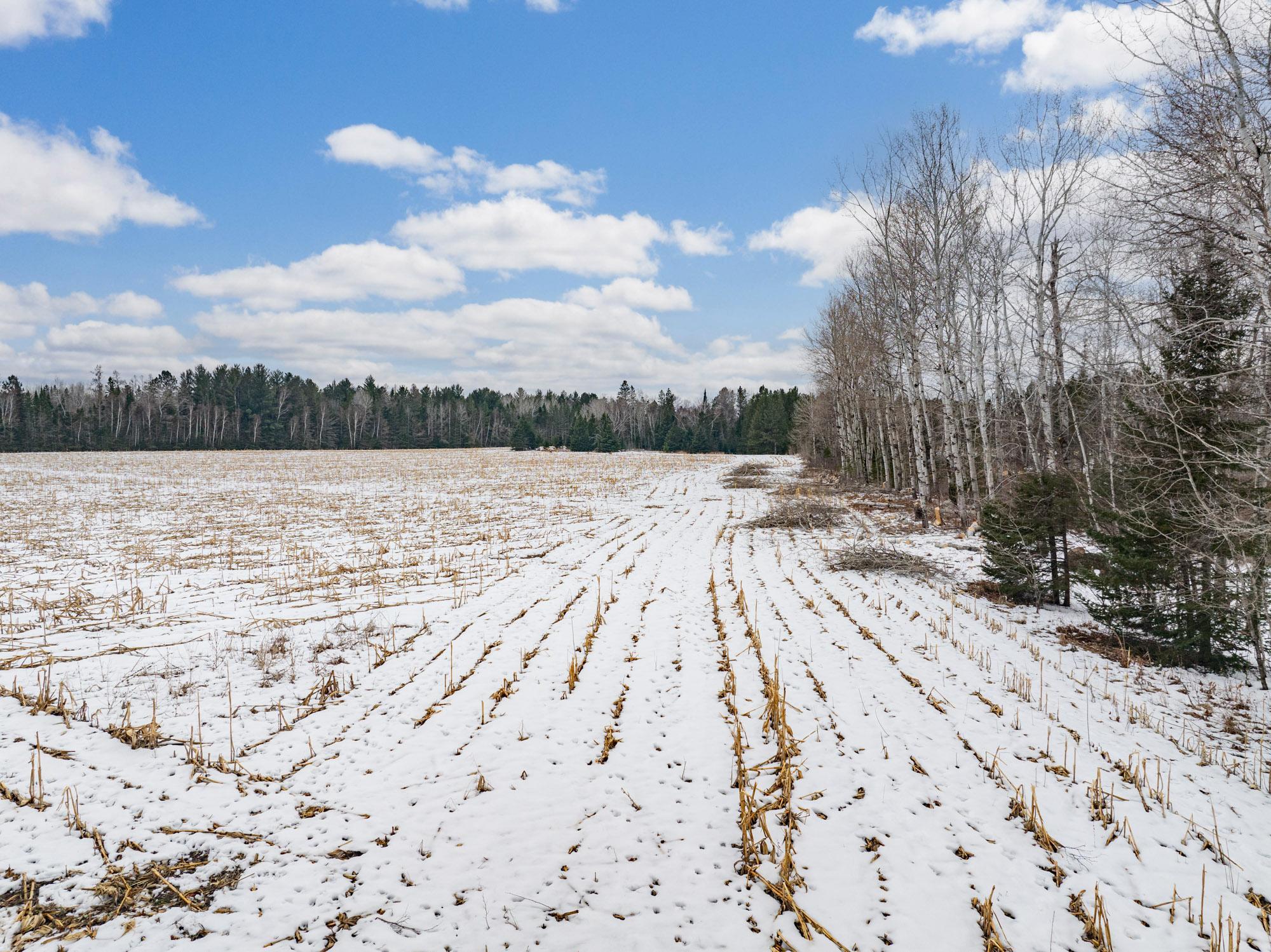 72 County Road 72 Warba, MN 55793 - Photo 10 of 29