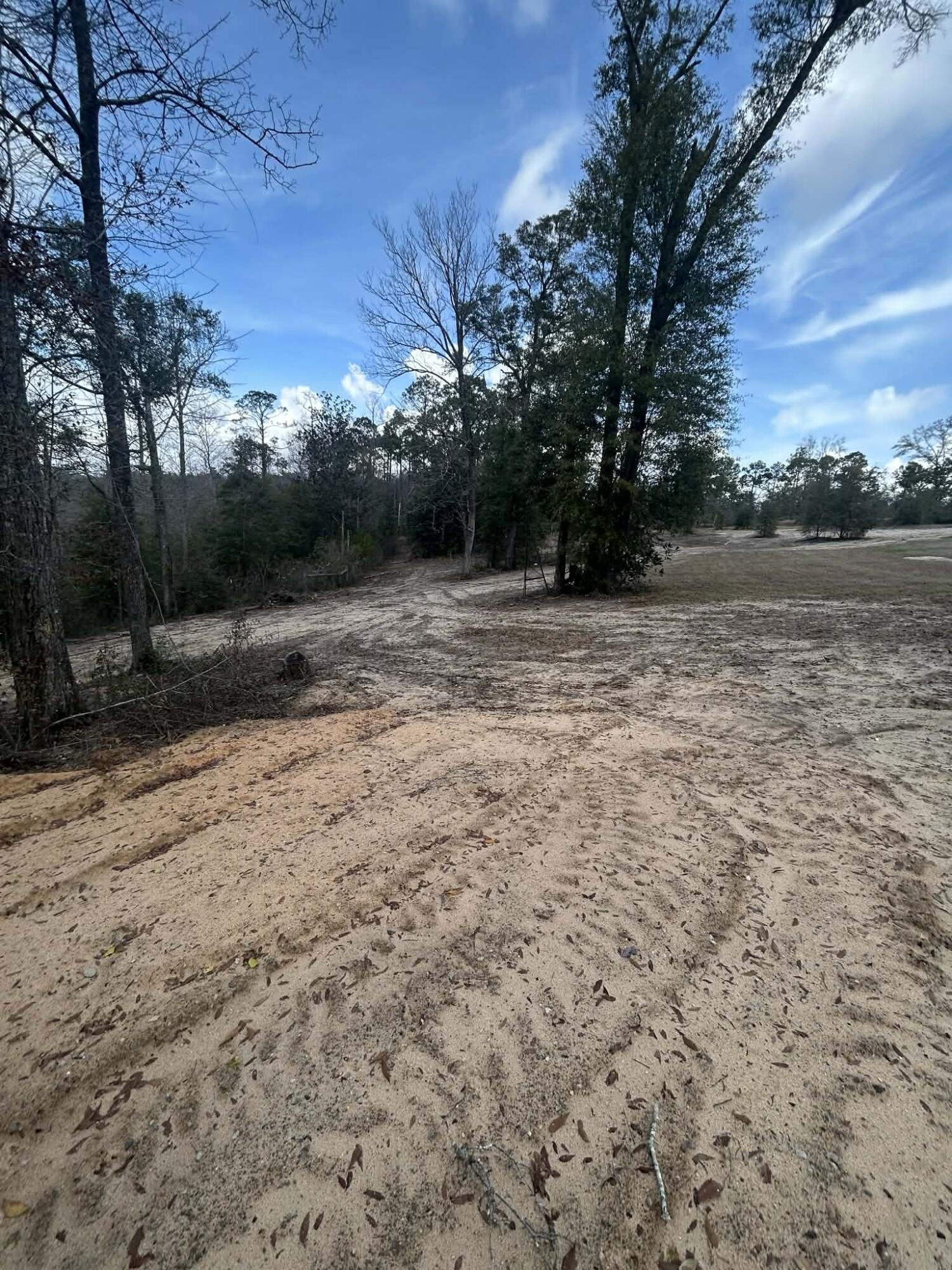 107 Pike Pond Road Chipley, FL 32428 - Photo 11 of 47 f13698a0-8273-4b69-8bbf-61a6956584bf