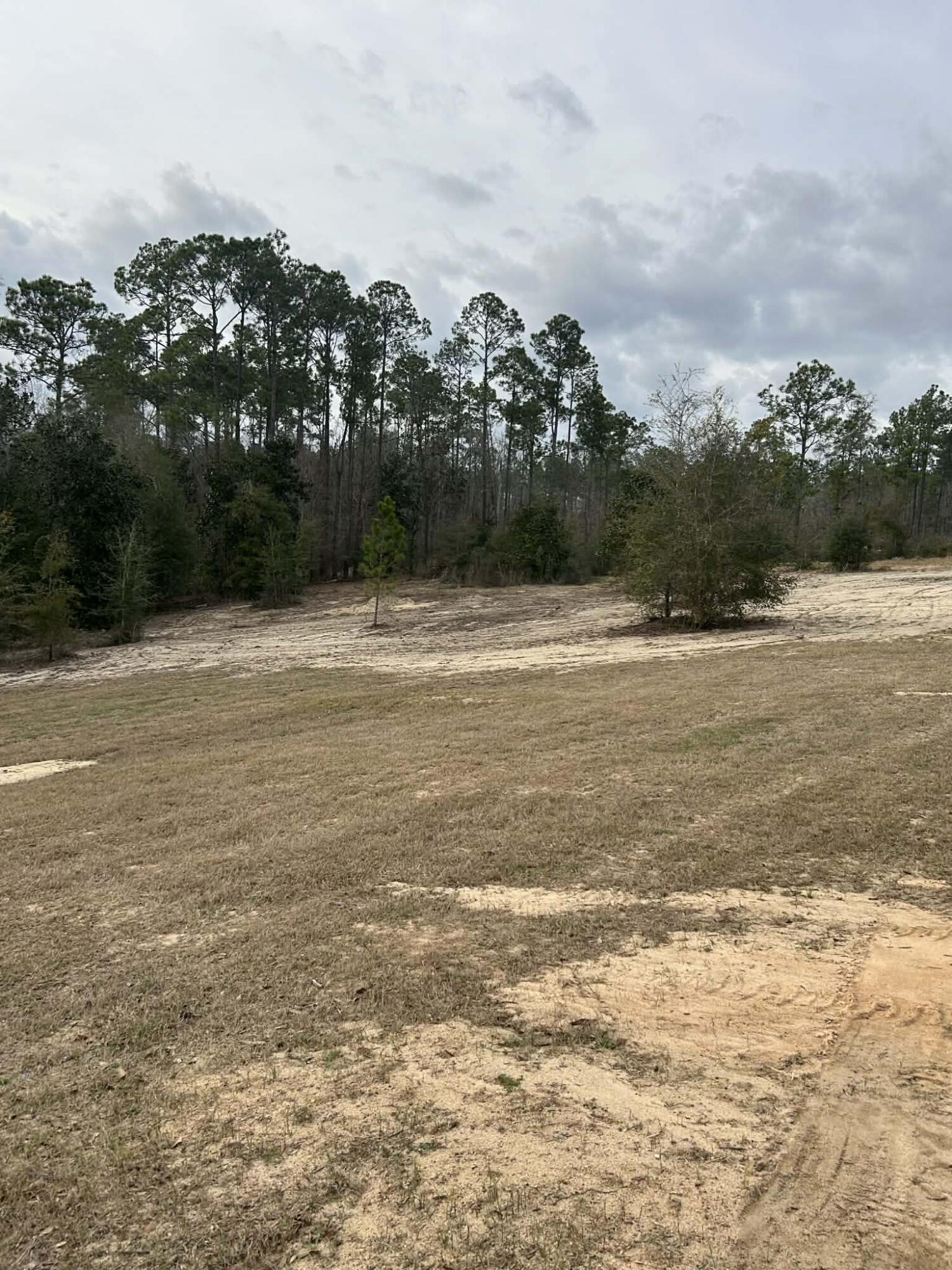 107 Pike Pond Road Chipley, FL 32428 - Photo 12 of 47 90c7cc8d-85cf-4e60-a67c-93e00565a98f