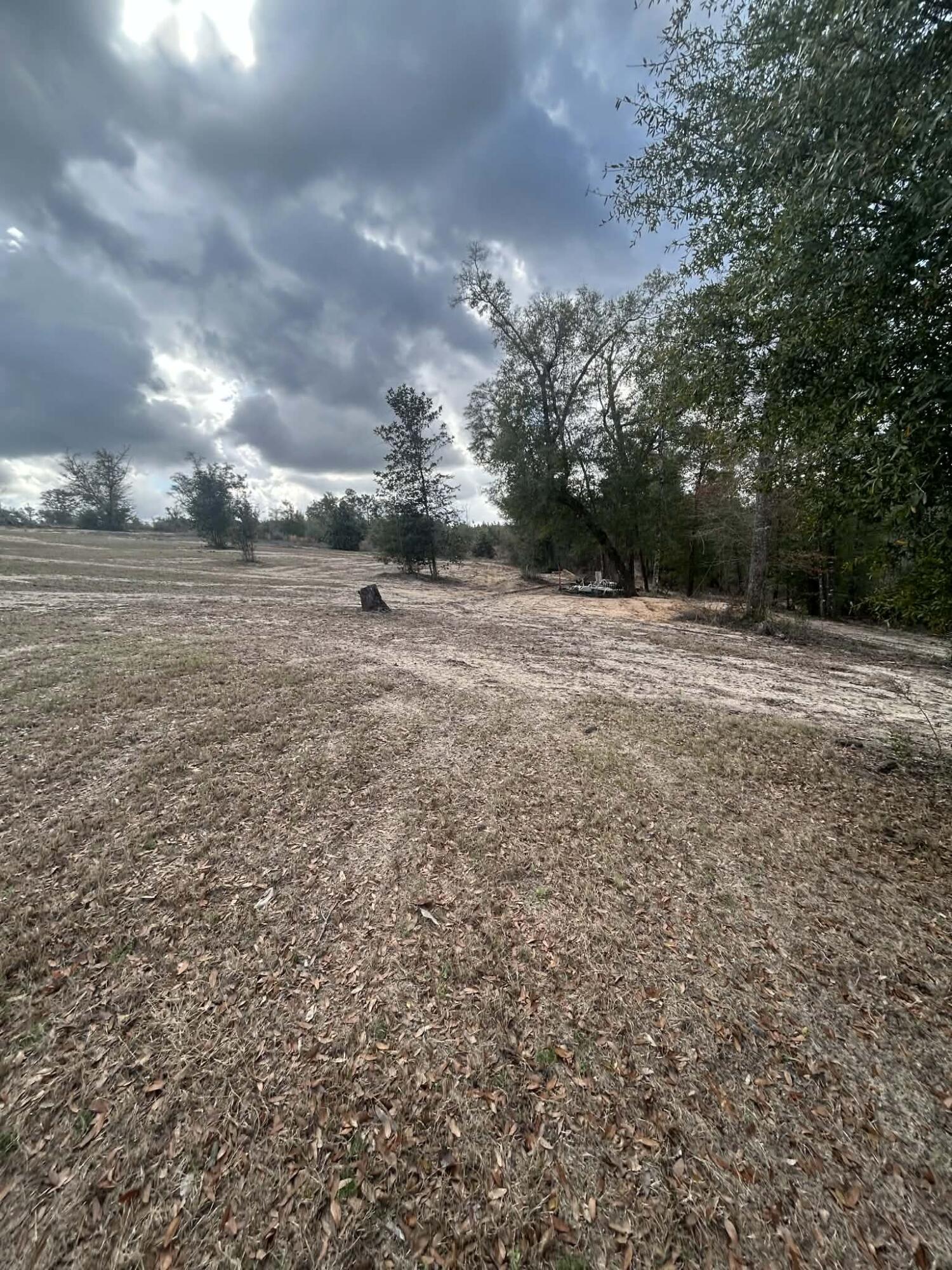 107 Pike Pond Road Chipley, FL 32428 - Photo 13 of 47 2ccf6bac-9c35-4dd8-89c5-9248d42b92f5