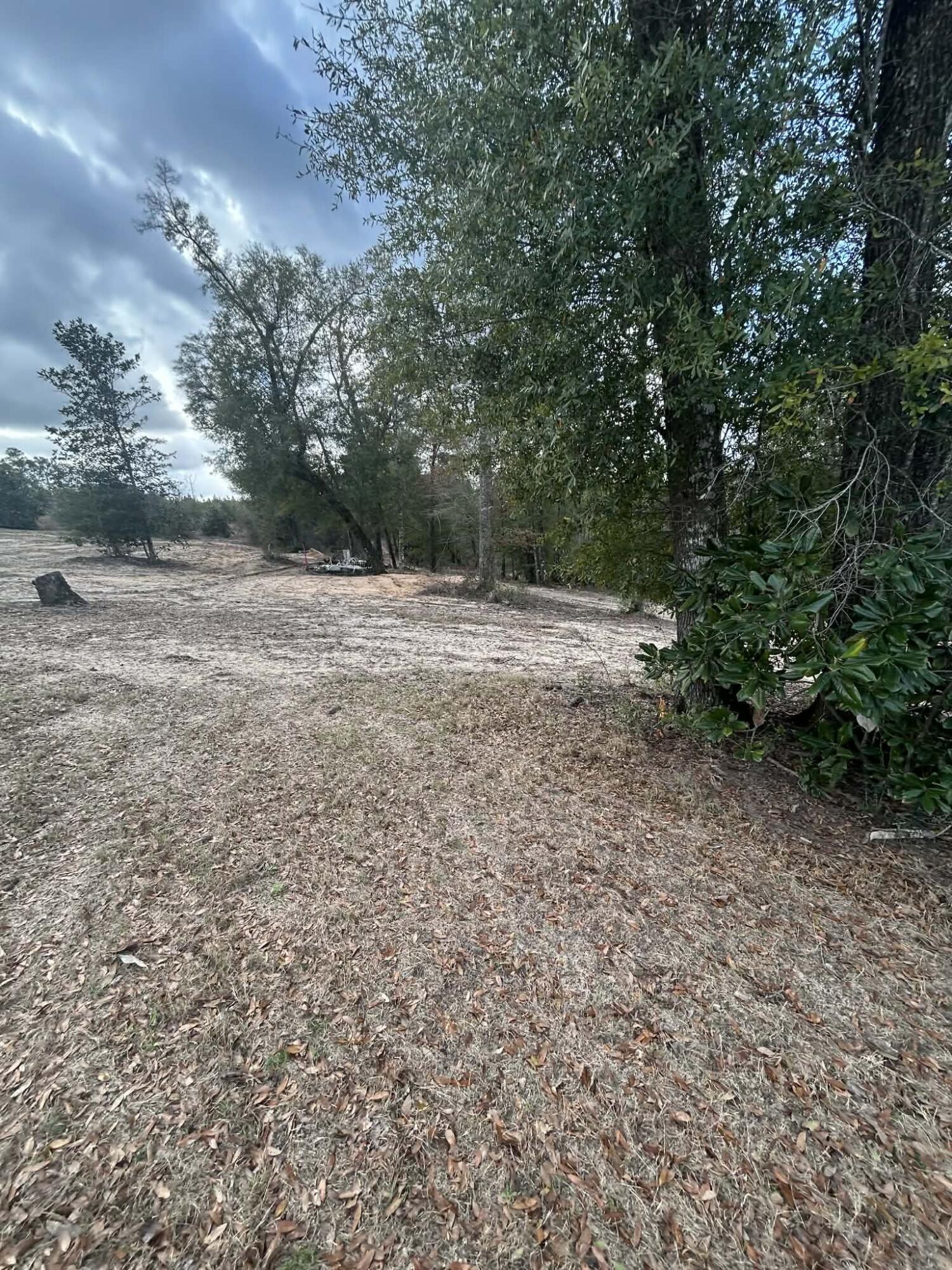 107 Pike Pond Road Chipley, FL 32428 - Photo 14 of 47 de059300-9986-4b5f-b1c4-9ad9e06887a2