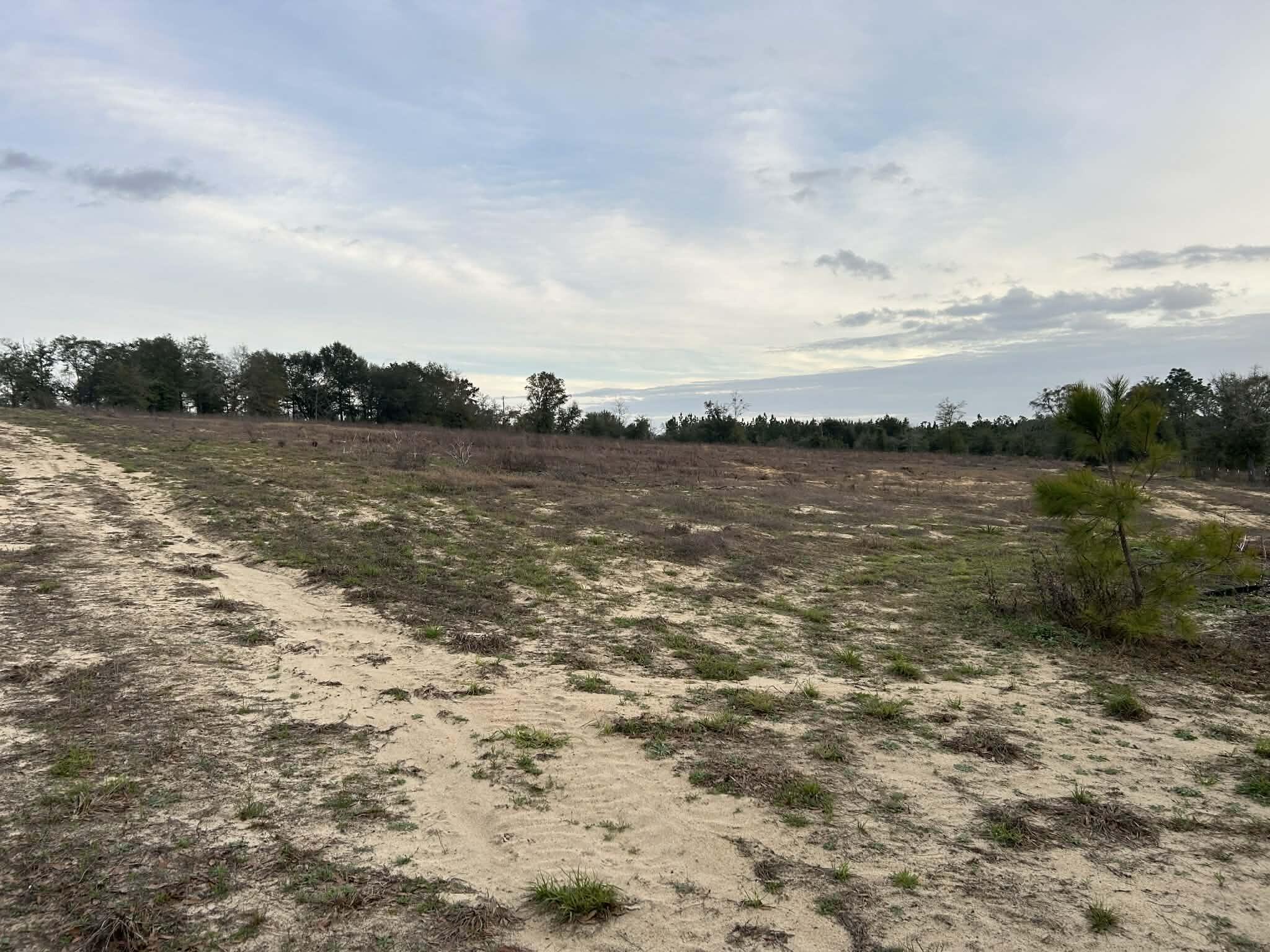 107 Pike Pond Road Chipley, FL 32428 - Photo 17 of 47 c2d64de6-b93f-4756-858e-b2a36af2050a
