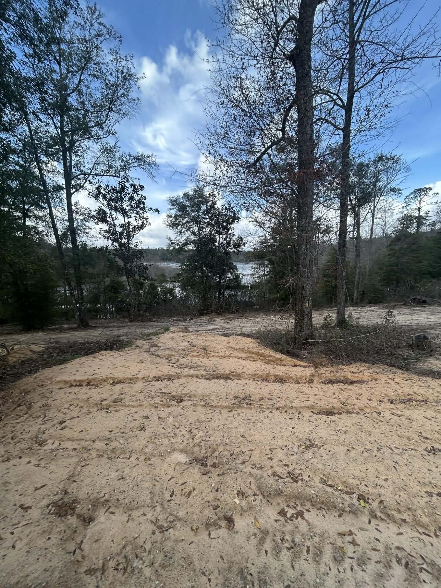 107 Pike Pond Road Chipley, FL 32428 - Photo 19 of 47 80d885ea-4870-4f63-9179-abf95510a8e9
