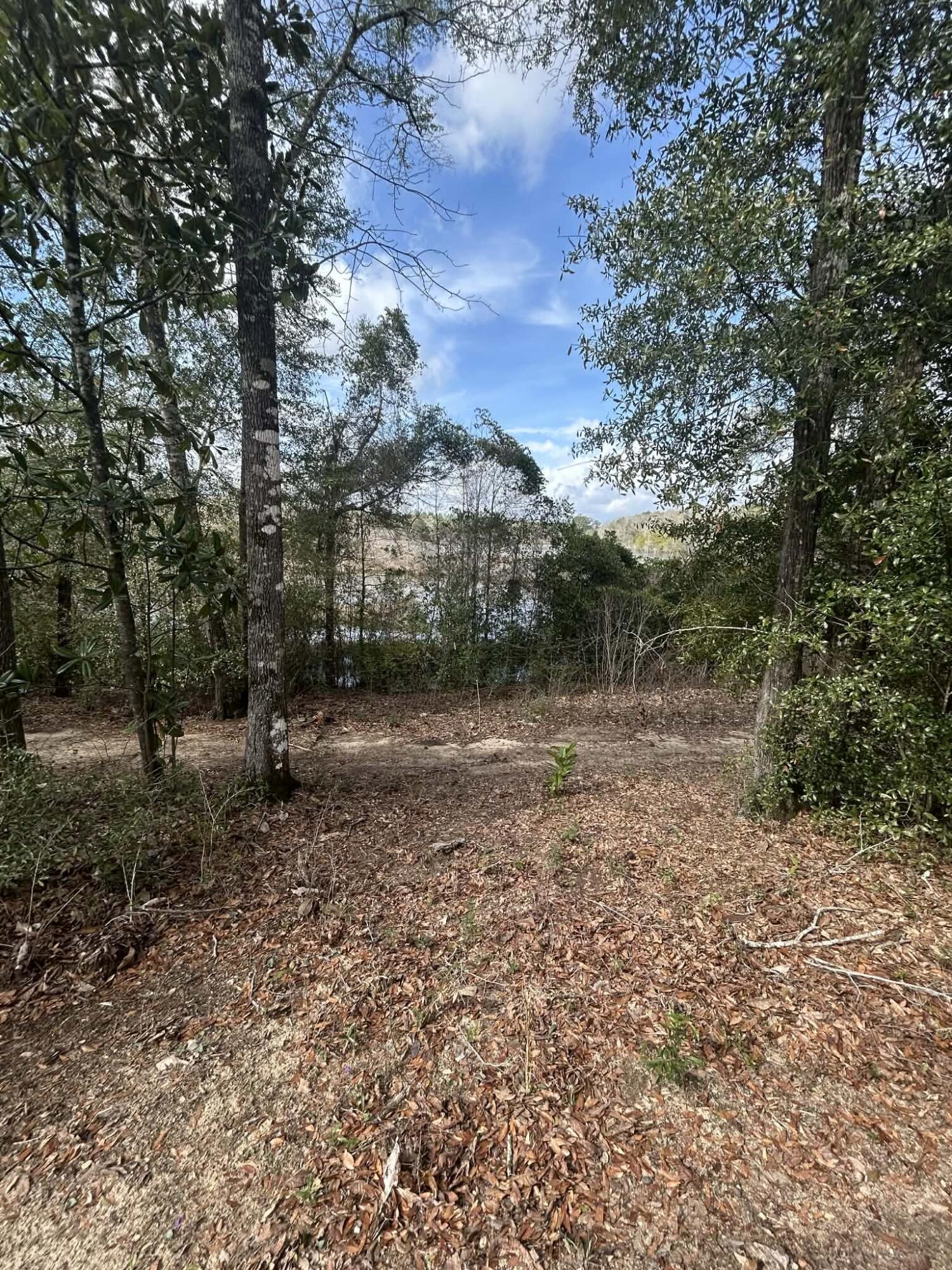 107 Pike Pond Road Chipley, FL 32428 - Photo 21 of 47 10afe87c-ba1c-4d9f-80e9-349428bb188d