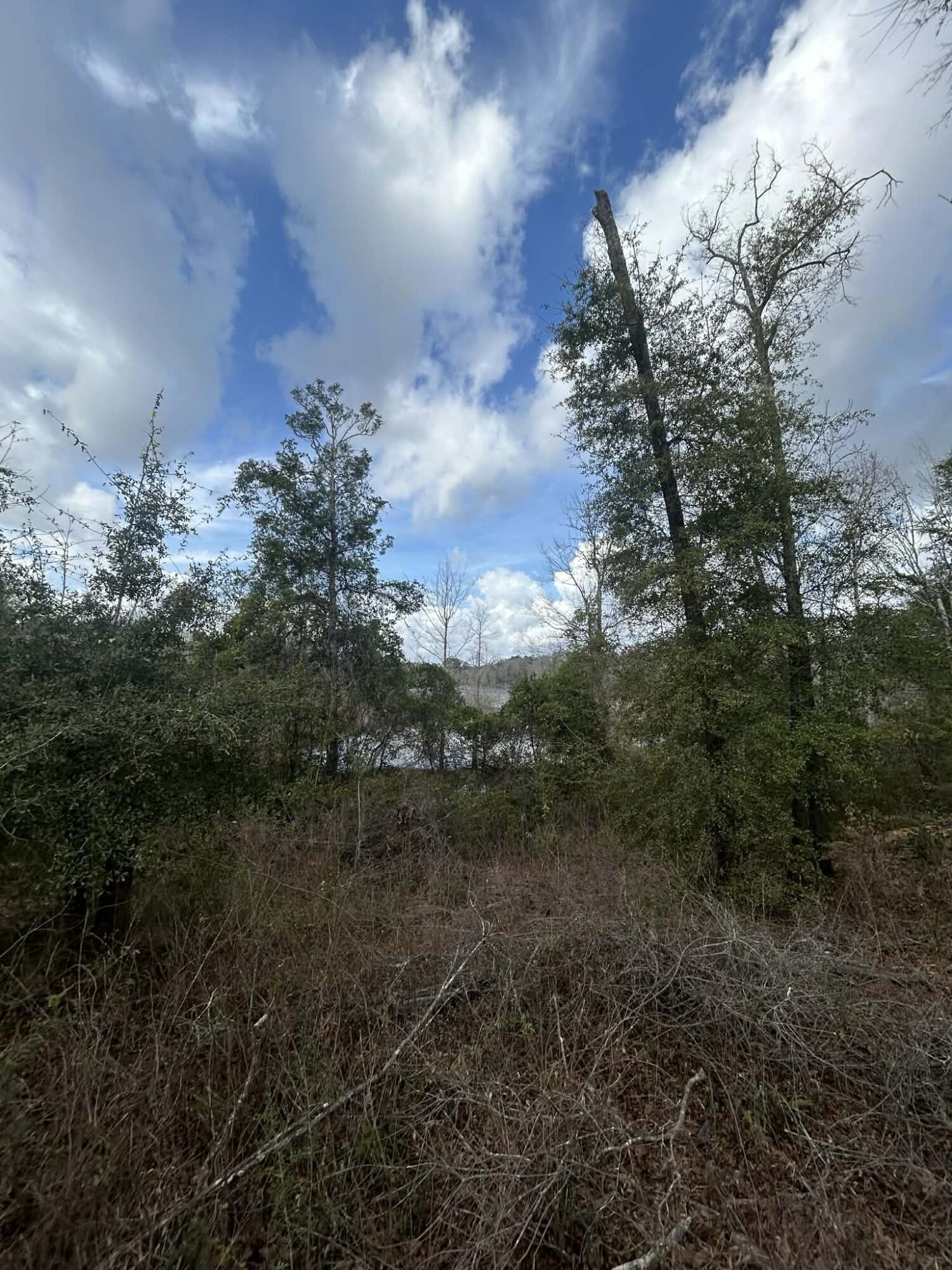 107 Pike Pond Road Chipley, FL 32428 - Photo 22 of 47 ca1c374d-d333-43eb-9c0e-cc0731133748