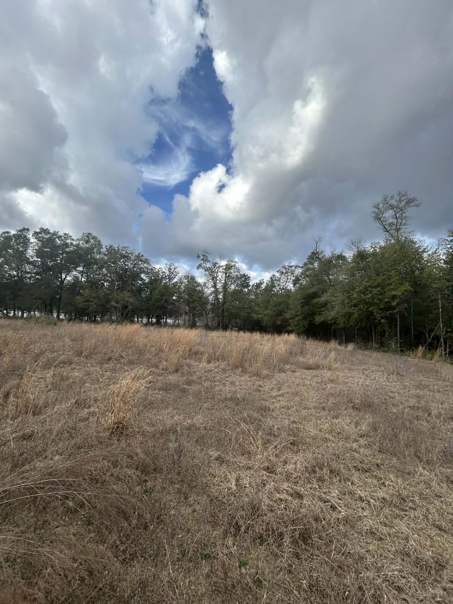 107 Pike Pond Road Chipley, FL 32428 - Photo 23 of 47 e7c1d2c4-9f74-4764-aafa-6f7459a4821b