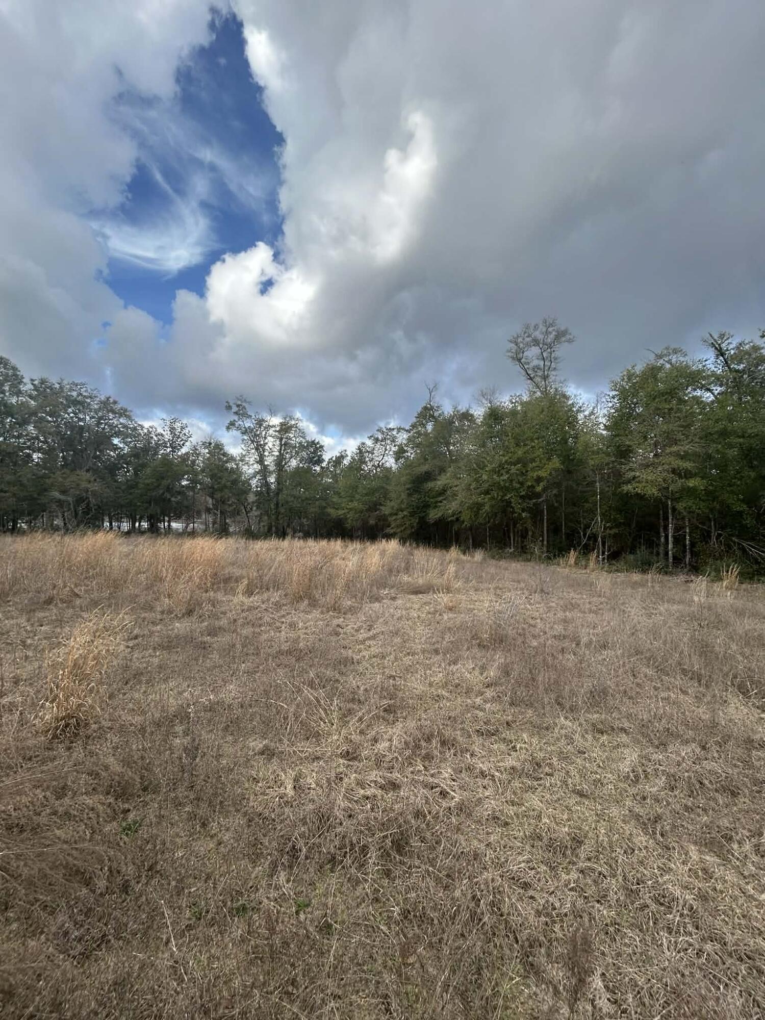 107 Pike Pond Road Chipley, FL 32428 - Photo 24 of 47 7f86753f-453b-44b4-b658-085514858e83