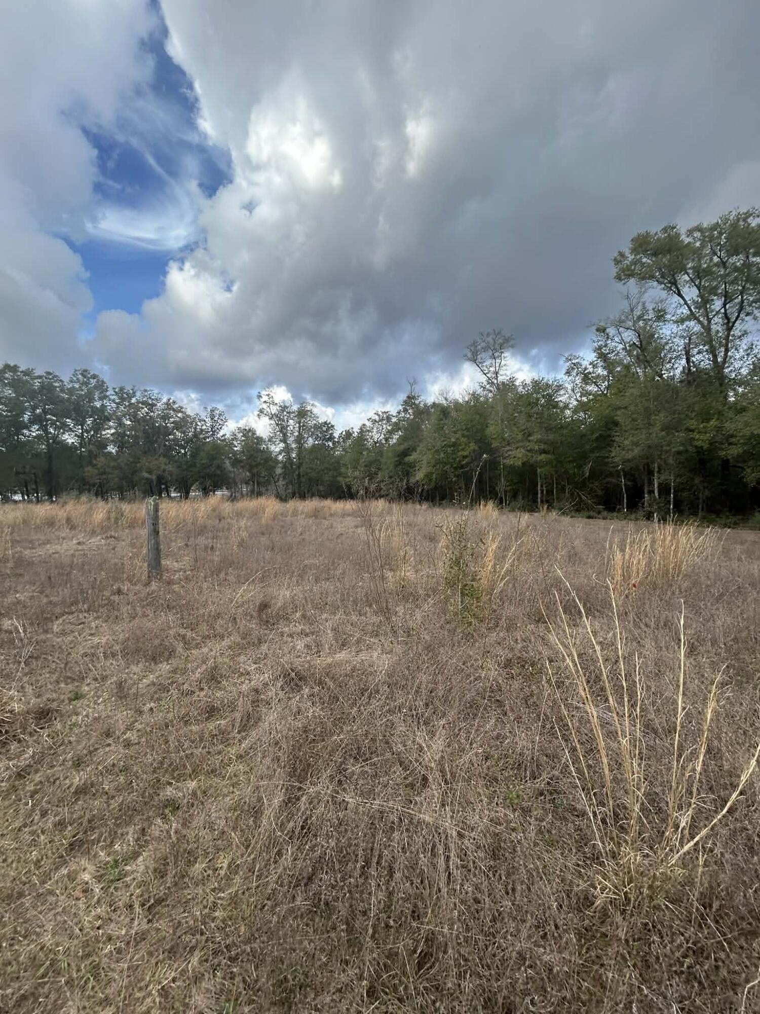 107 Pike Pond Road Chipley, FL 32428 - Photo 25 of 47 85075a5c-e110-4740-8288-80f760c0d7a5