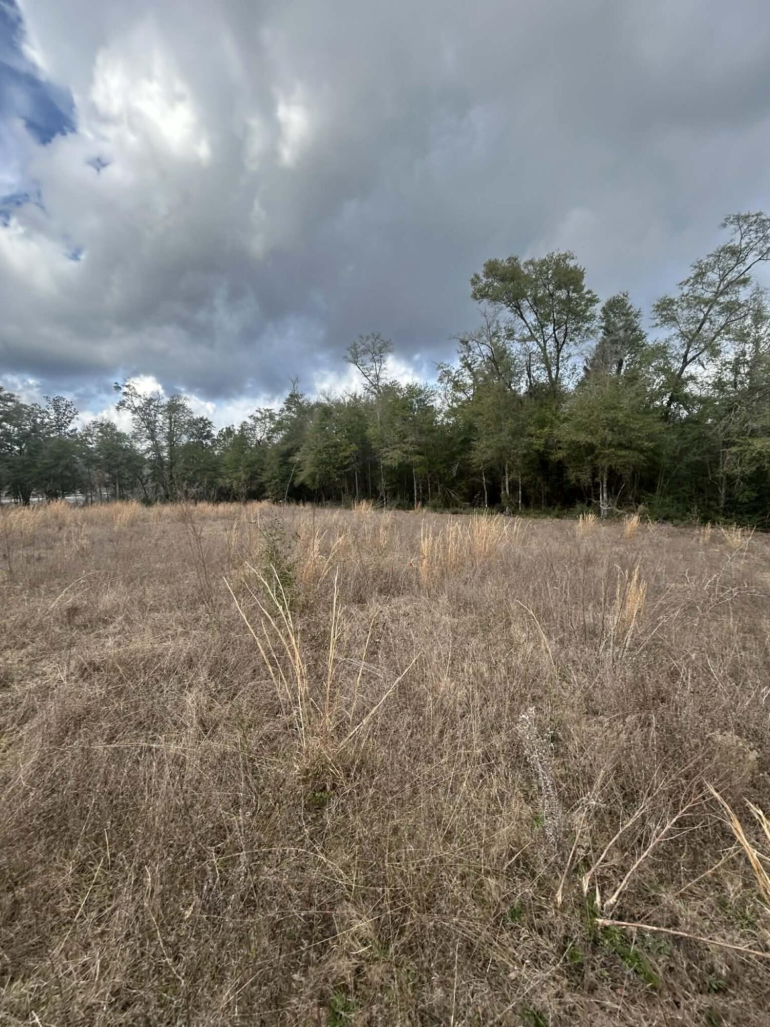 107 Pike Pond Road Chipley, FL 32428 - Photo 26 of 47 6e800b6c-c78c-4ac5-9dff-08dd0670f3ed