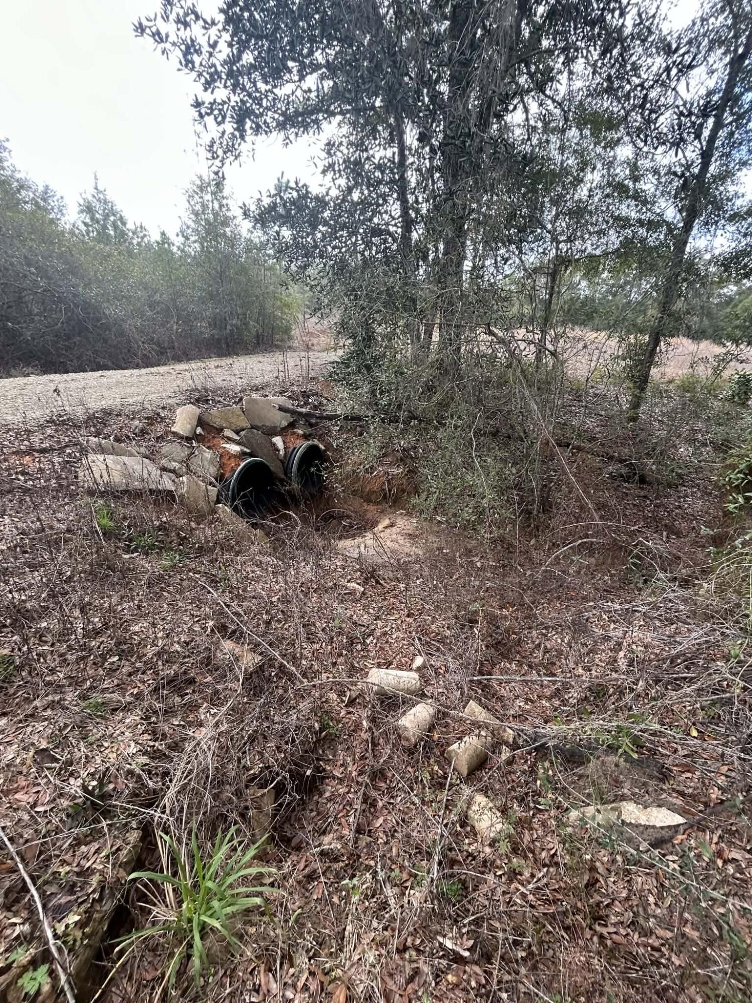 107 Pike Pond Road Chipley, FL 32428 - Photo 27 of 47 d1d0f2cb-7be3-4e86-8c4a-0bbf80198a9a