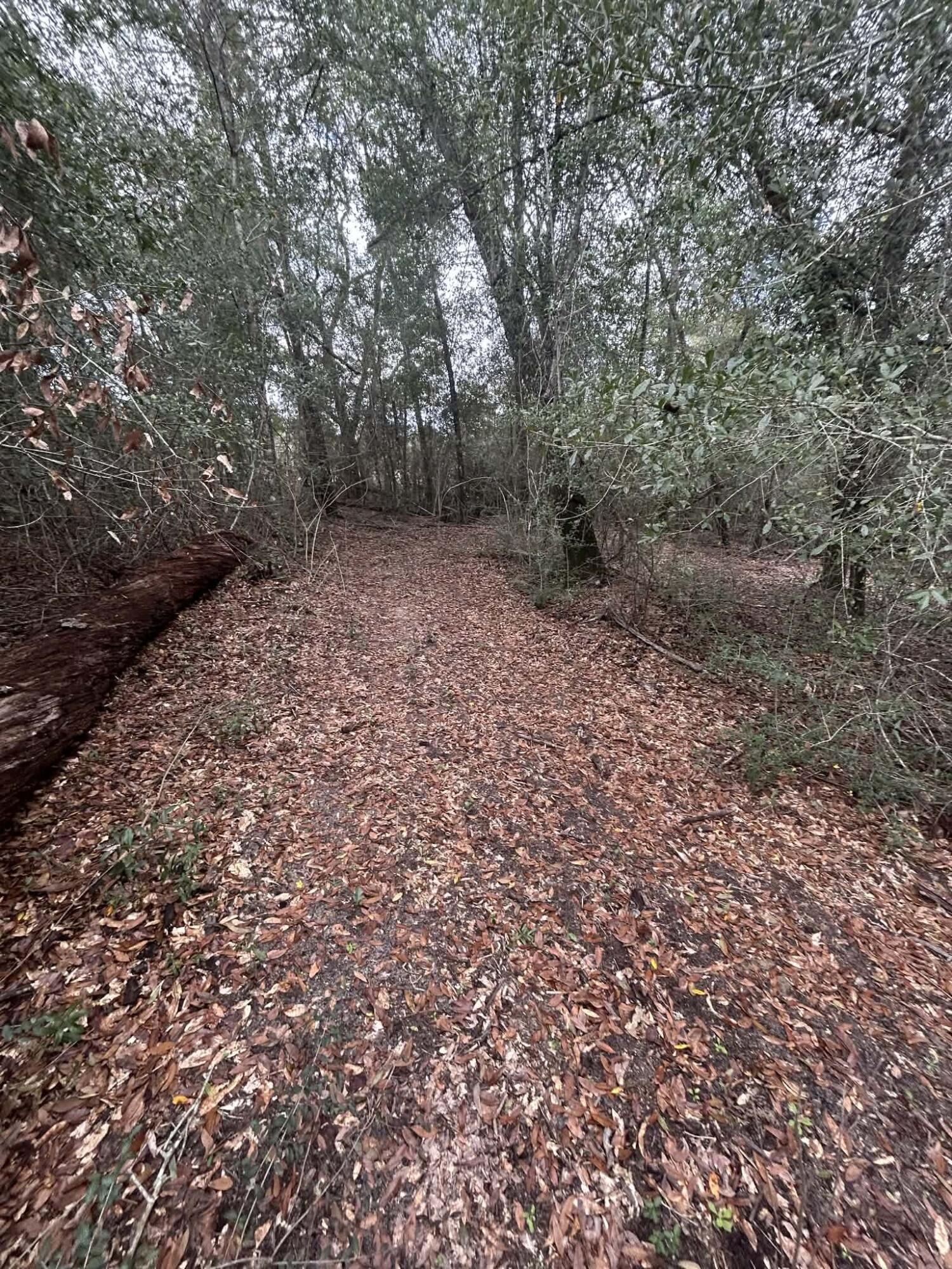 107 Pike Pond Road Chipley, FL 32428 - Photo 30 of 47 e95e5c29-42f3-4ccd-b909-3486b8436cb2