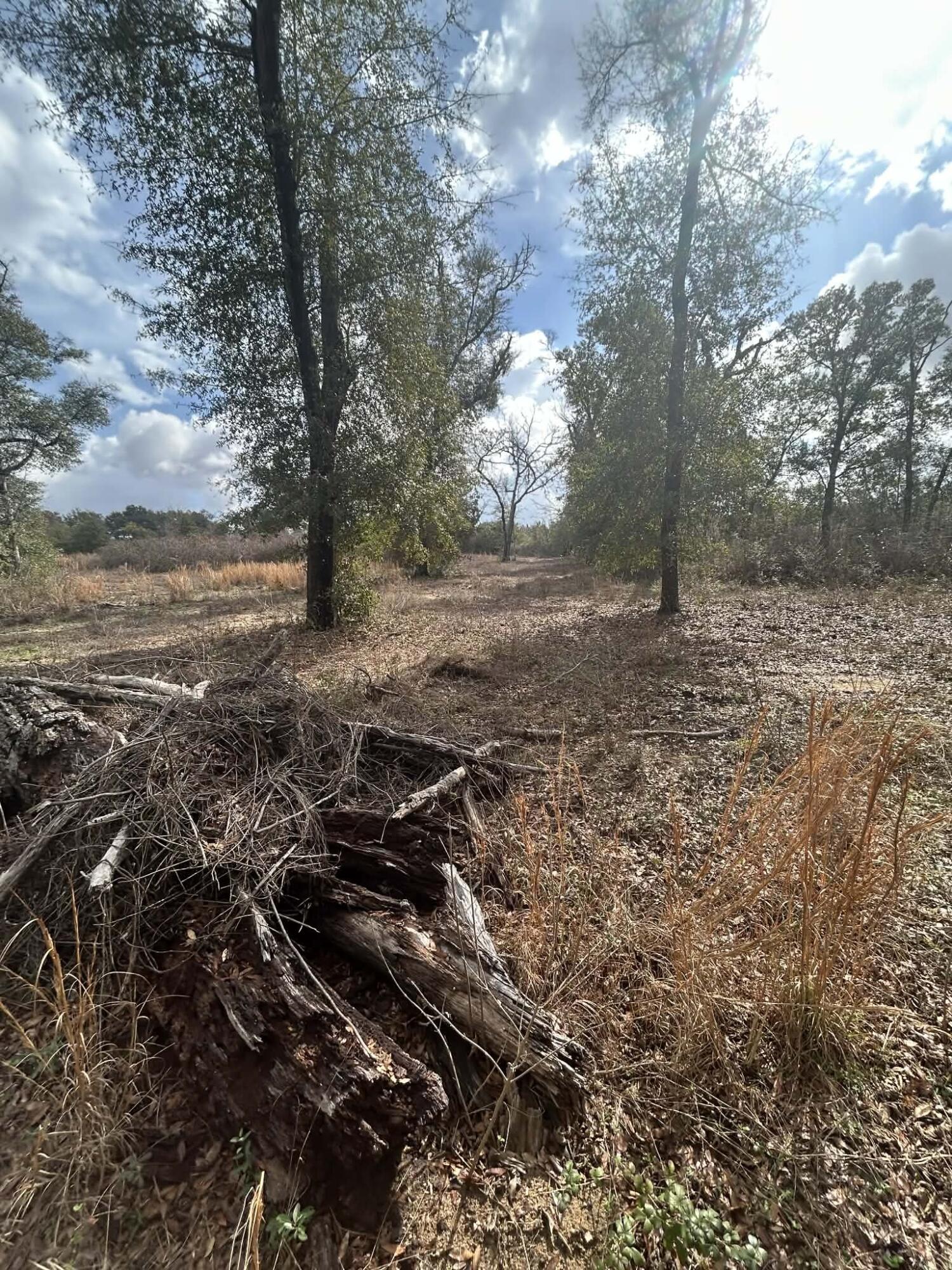 107 Pike Pond Road Chipley, FL 32428 - Photo 35 of 47 021655b0-d908-4415-8188-488b19d136ed