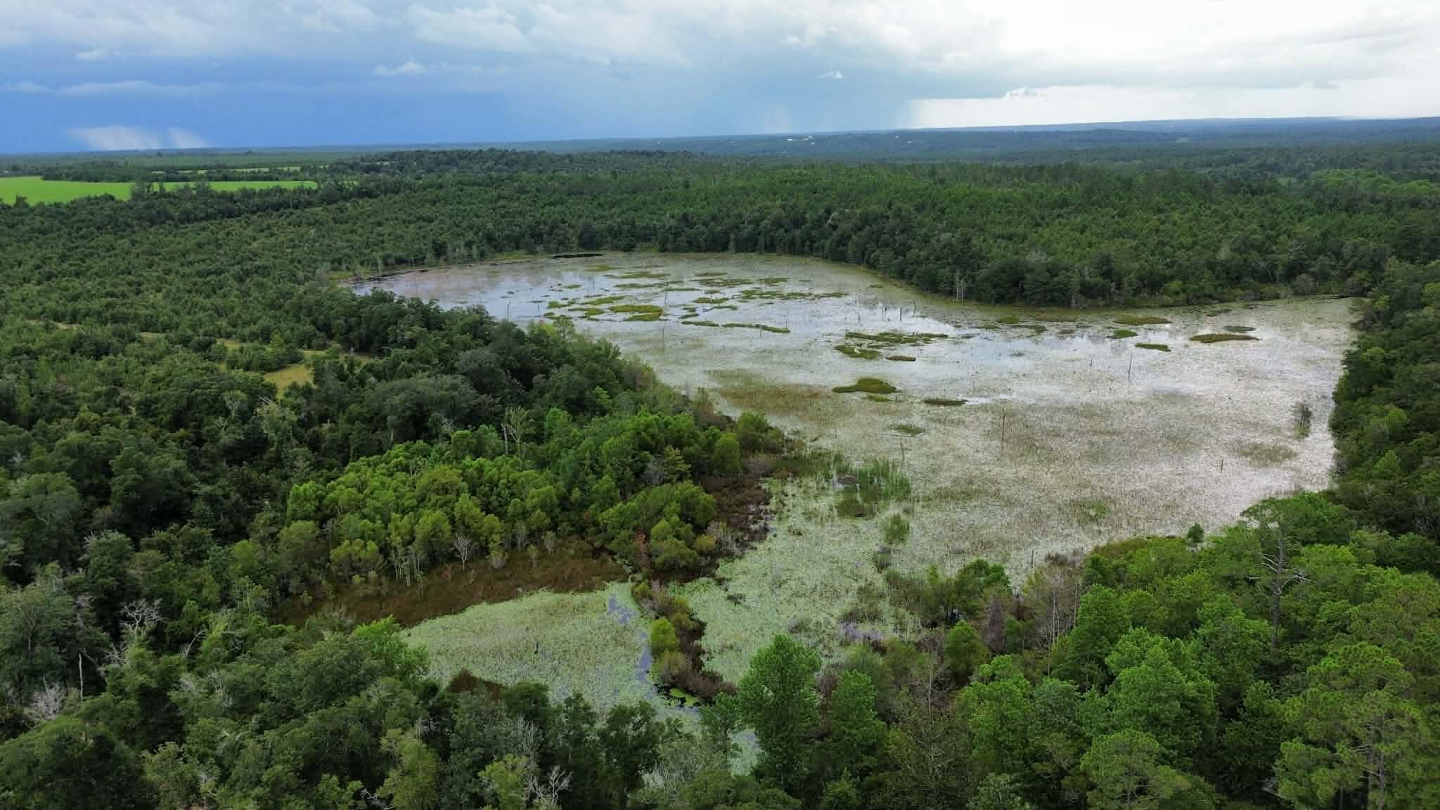 107 Pike Pond Road Chipley, FL 32428 - Photo 38 of 47 1ef3f282-082b-4bbd-9d9c-064389a1c5d5