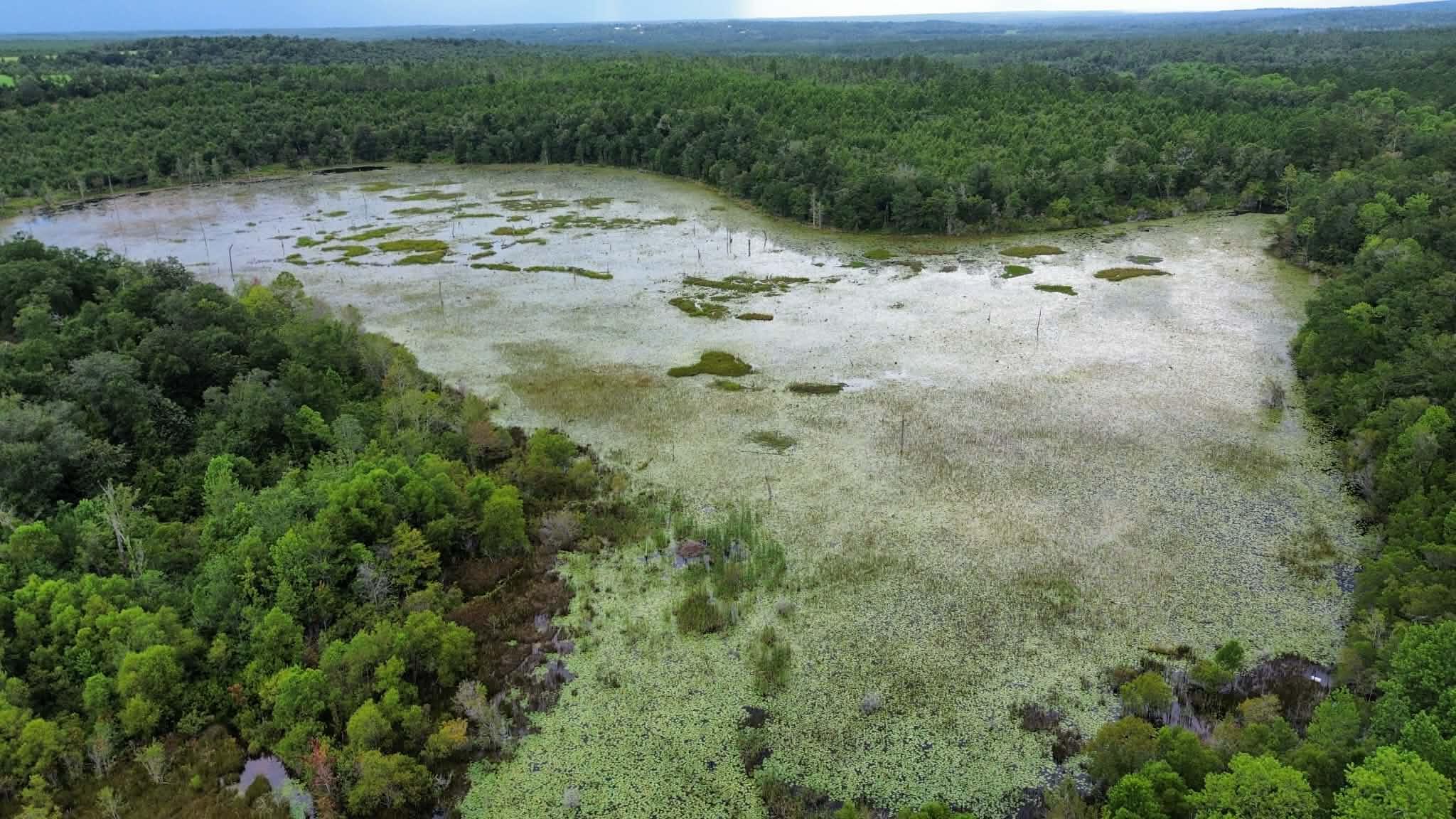 107 Pike Pond Road Chipley, FL 32428 - Photo 42 of 47 091cc7d7-12c0-468f-b526-c1a53417c12c