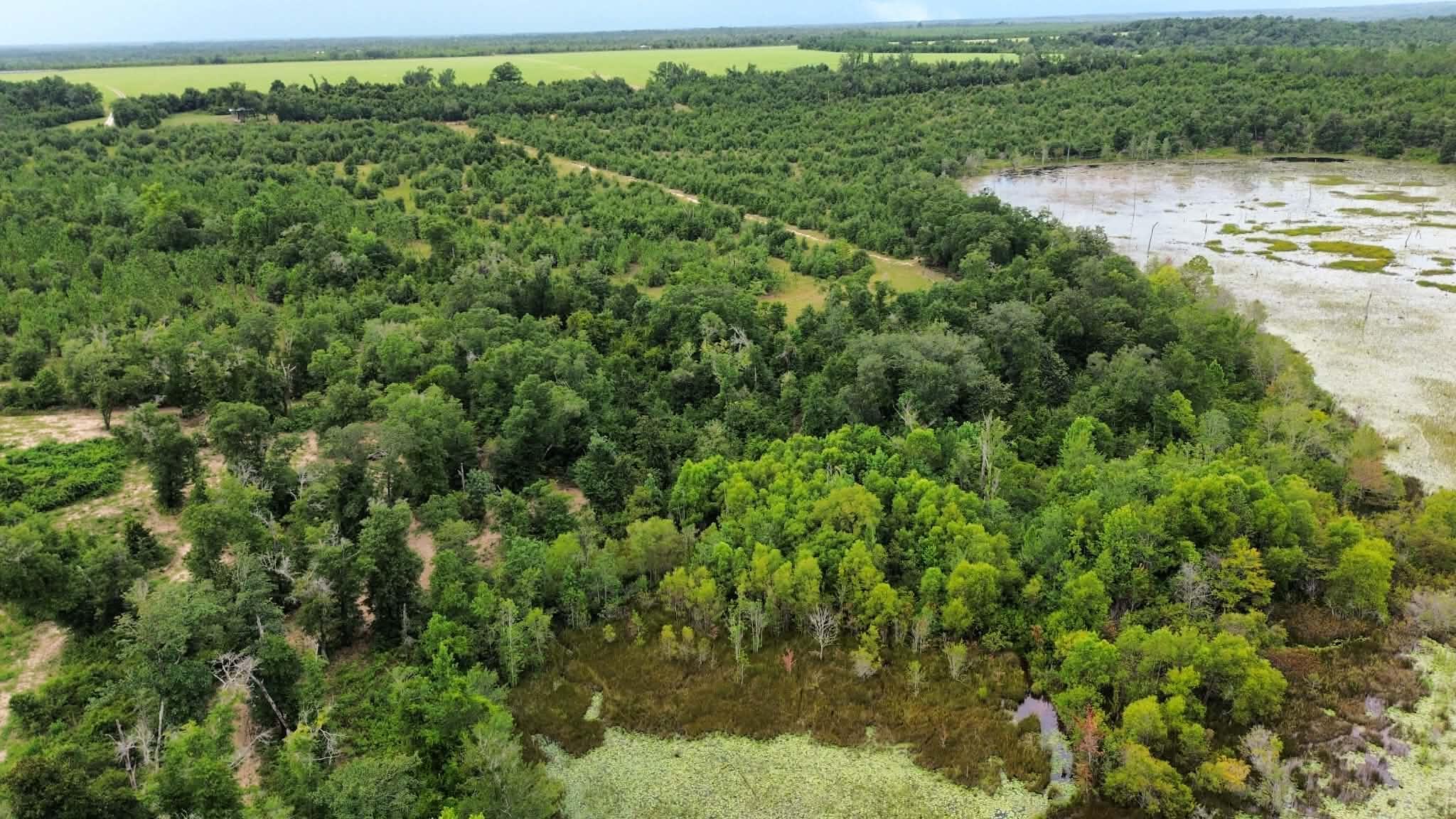 107 Pike Pond Road Chipley, FL 32428 - Photo 43 of 47 07ee0eca-f0ec-4fcd-b1da-2fae906bab10