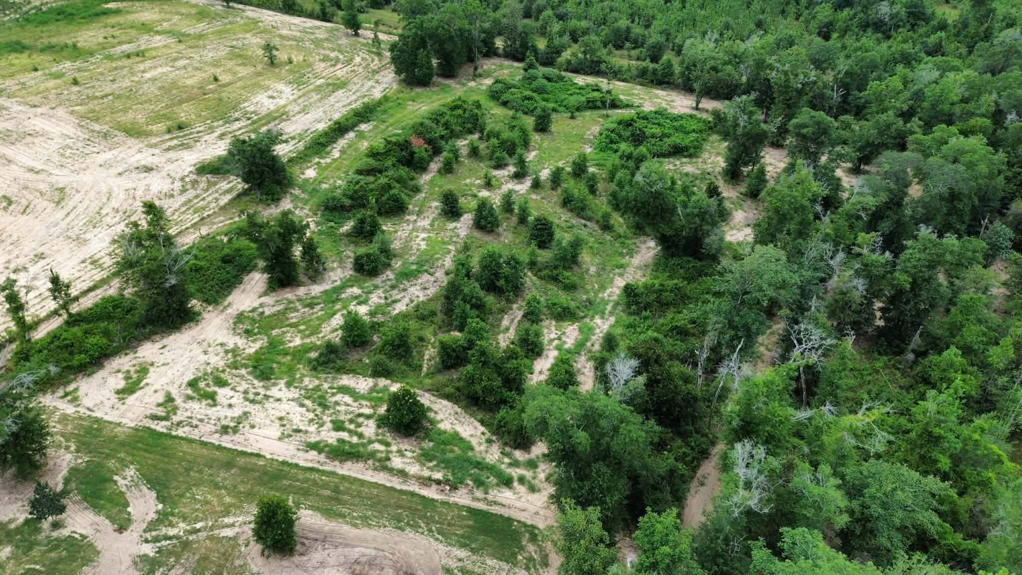 107 Pike Pond Road Chipley, FL 32428 - Photo 46 of 47 0aee8758-50f6-426d-b57f-61e54ca0b3a8