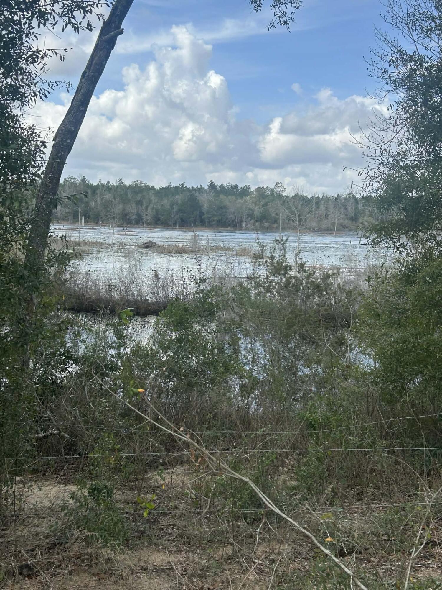 107 Pike Pond Road Chipley, FL 32428 - Photo 5 of 47 3ca02fef-2dc3-4e4e-b479-6b8472b6be85