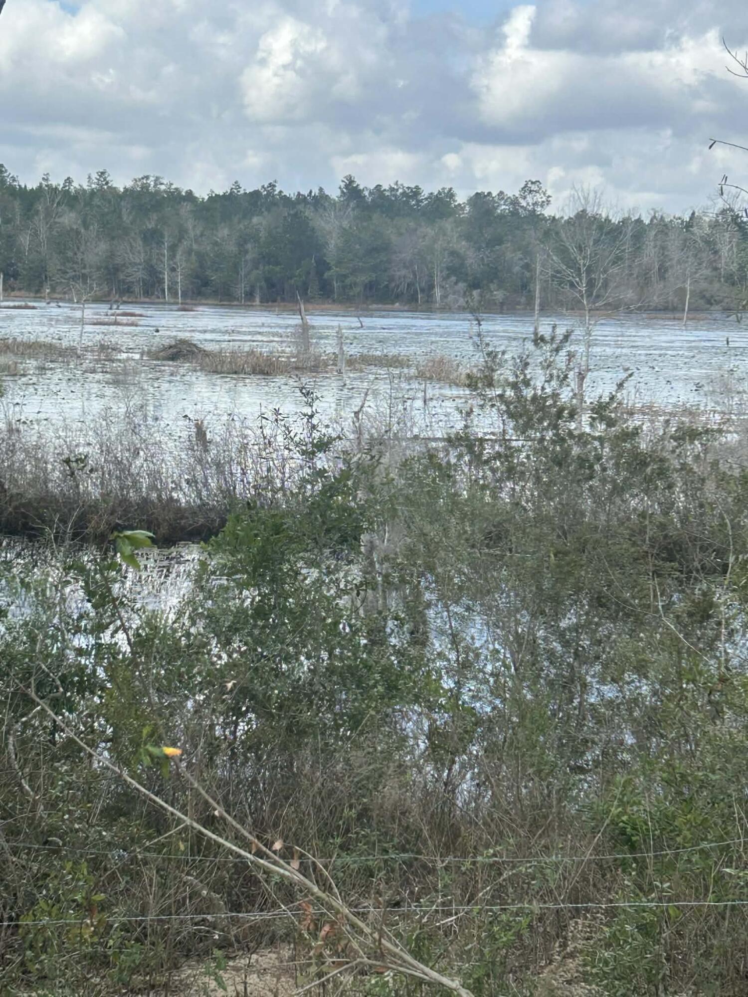 107 Pike Pond Road Chipley, FL 32428 - Photo 6 of 47 870ba720-4d8c-4c33-ba73-c50587b308c5