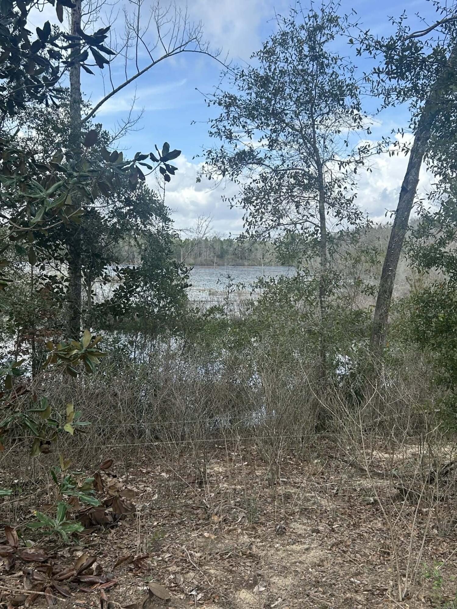 107 Pike Pond Road Chipley, FL 32428 - Photo 8 of 47 9b74d9fd-5bdf-4aa3-828d-1e4c87ccc6ae