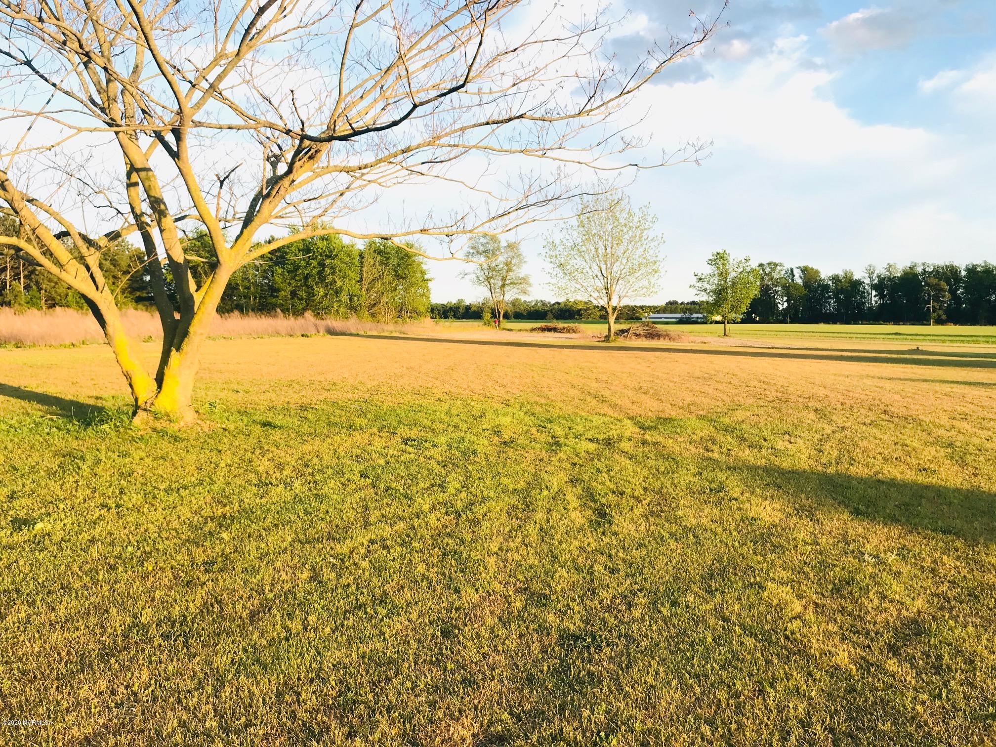 4444 Bearskin Road Clinton, NC 28328 - Photo 21 of 29 IMG_8071
