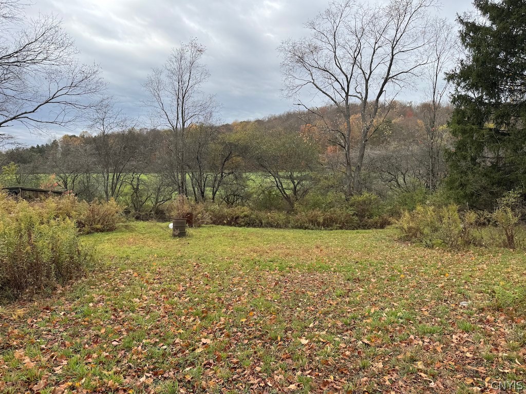 9337 New Albion Road New Albion, NY 14719 - Photo 1 of 18