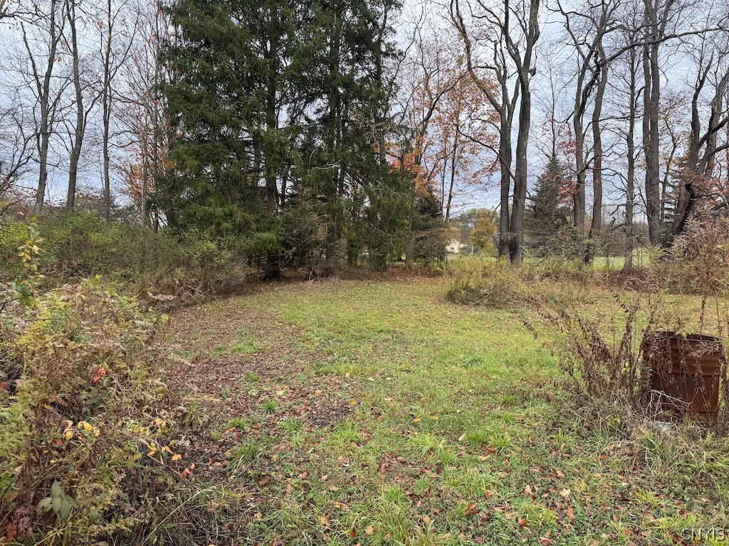 9337 New Albion Road New Albion, NY 14719 - Photo 17 of 18