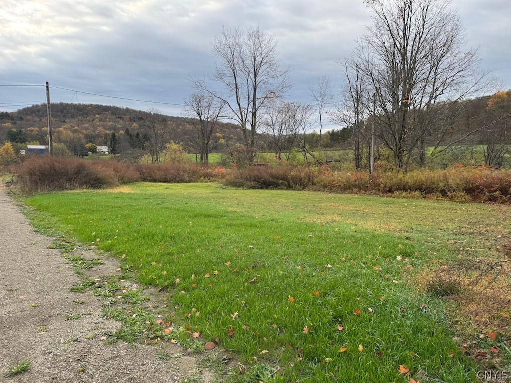 9337 New Albion Road New Albion, NY 14719 - Photo 3 of 18