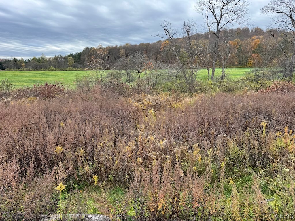 9337 New Albion Road New Albion, NY 14719 - Photo 5 of 18