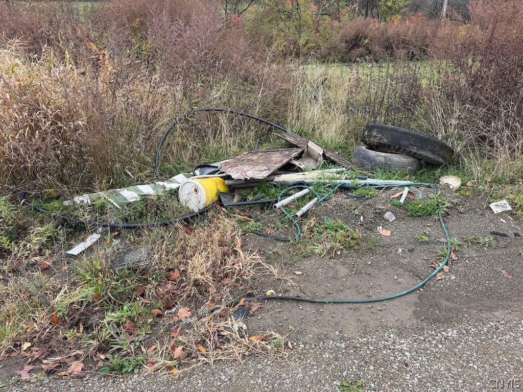 9337 New Albion Road New Albion, NY 14719 - Photo 7 of 18