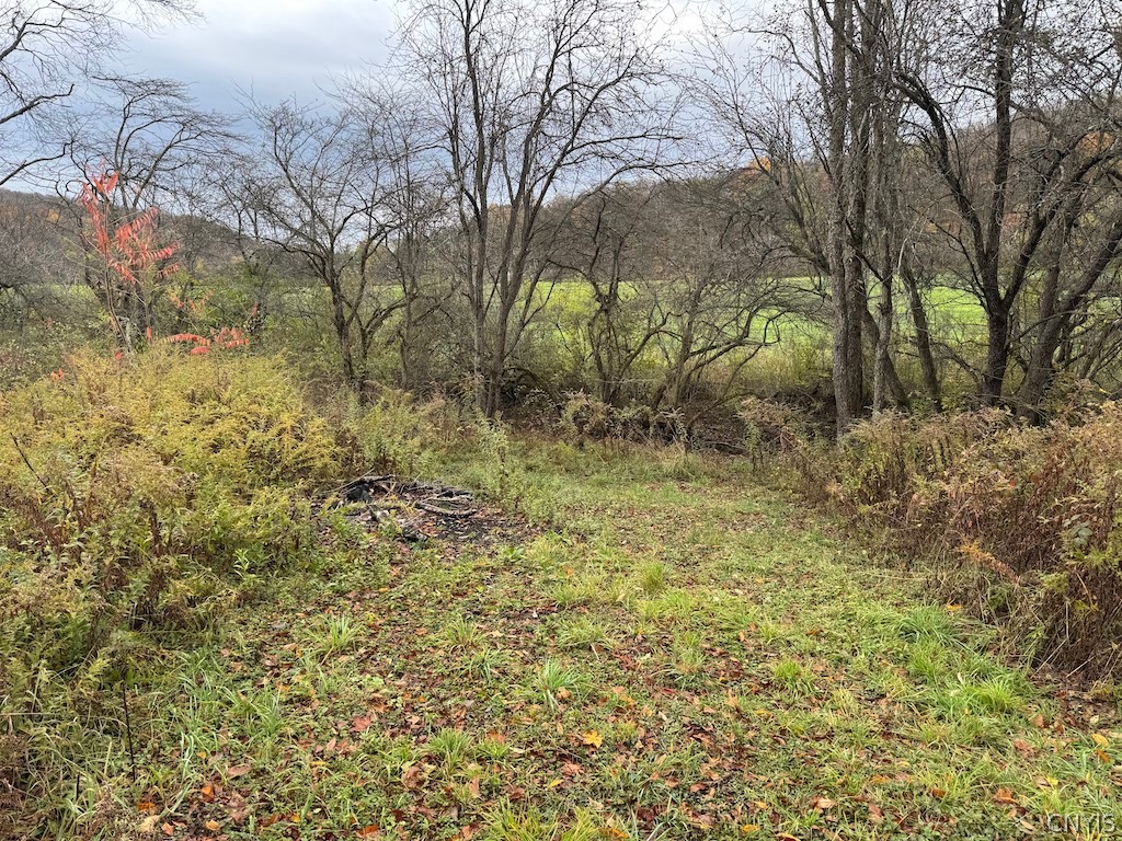 9337 New Albion Road New Albion, NY 14719 - Photo 8 of 18