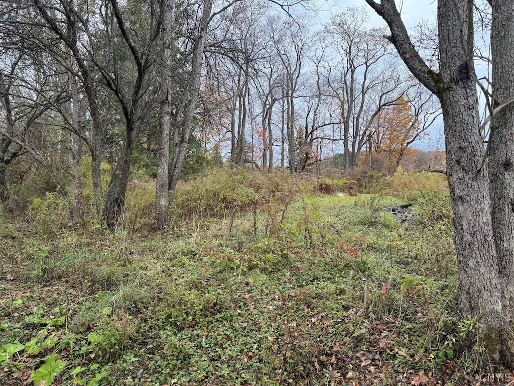 9337 New Albion Road New Albion, NY 14719 - Photo 10 of 18