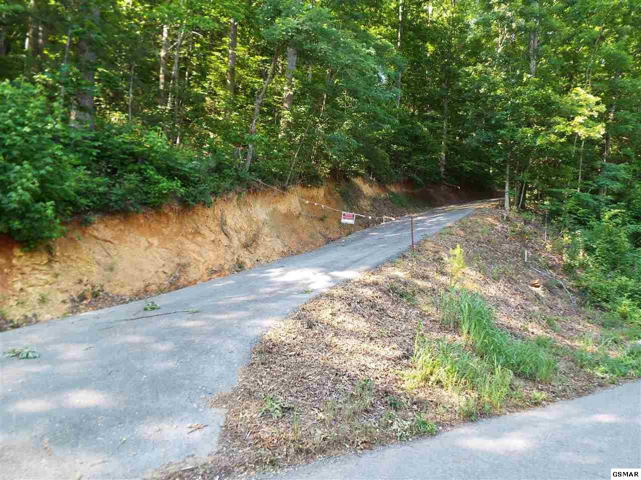 0 Greasy Cove Road Cosby, TN 37722 - Photo 1 of 26 Gallery Image 1