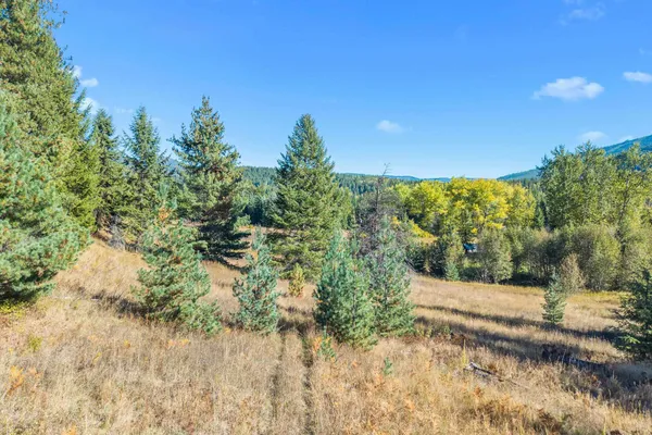 $230,000 | 3841 Deep Lake Boundary Road, Colville, WA 99114