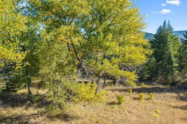 $230,000 | 3841 Deep Lake Boundary Road, Colville, WA 99114