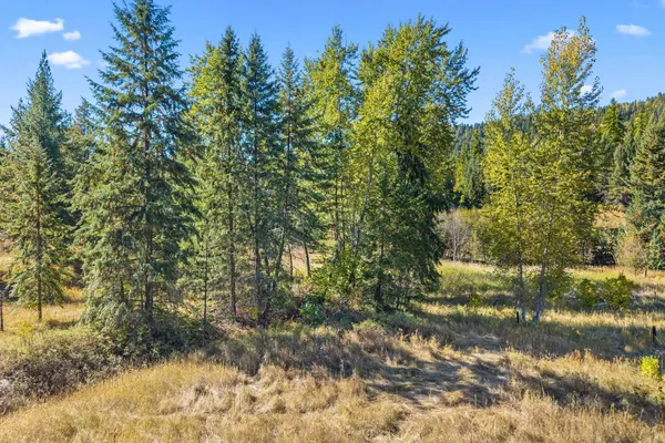 $230,000 | 3841 Deep Lake Boundary Road, Colville, WA 99114