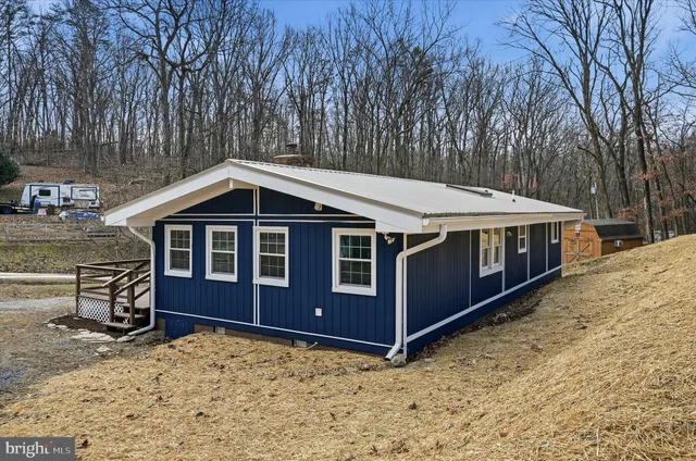 a view of outdoor space yard and tree