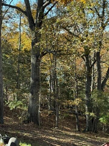 2755 Davis Lake Road Owenton, KY 40359 - Photo 32 of 35