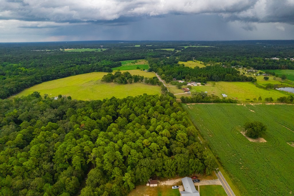 0 East Wayne Road Dothan, AL 36301 - Photo 15 of 18
