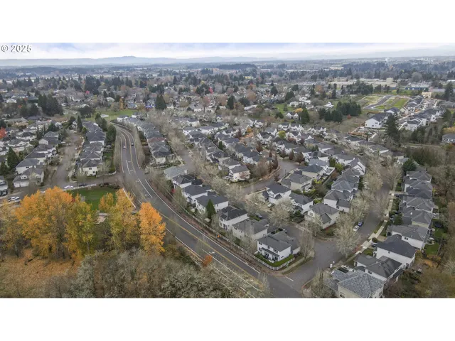 a view of city and mountain