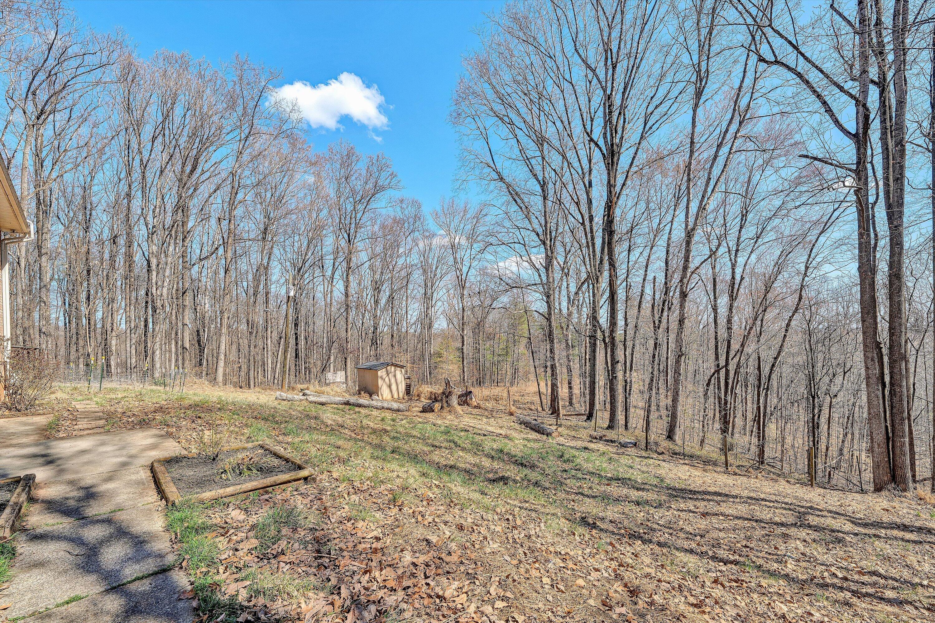 2360 Iron Ridge Road Rocky Mount, VA 24151 - Photo 27 of 37 27-DSC00259