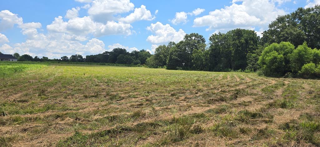 91 County Road 91 Slocomb, AL 36375 - Photo 3 of 18